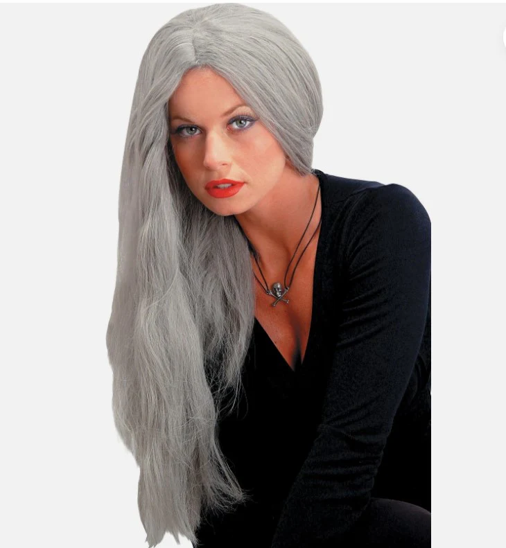 24" Straight Grey Adult Costume Wig
