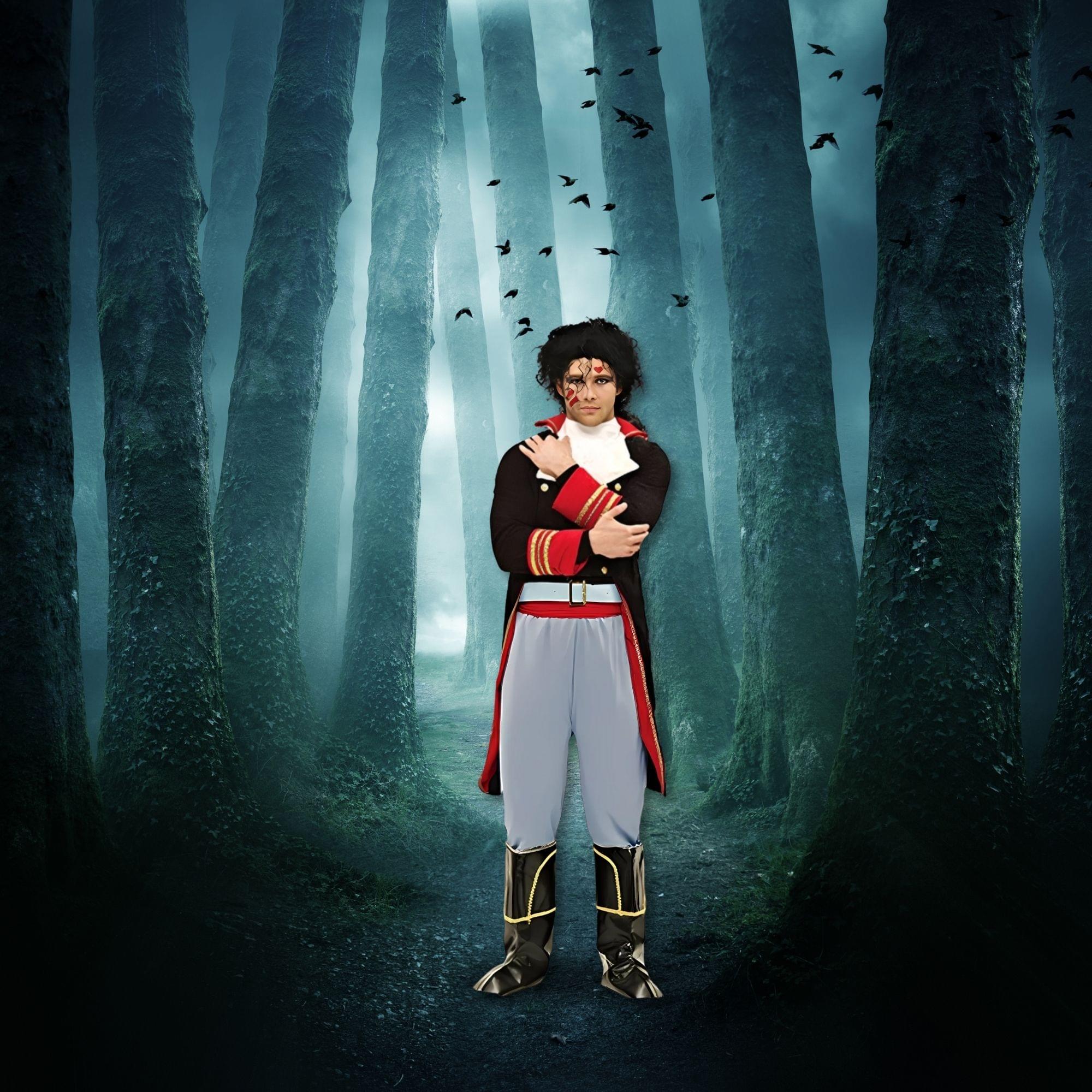 Adam Ant Adult Costume - Image 4