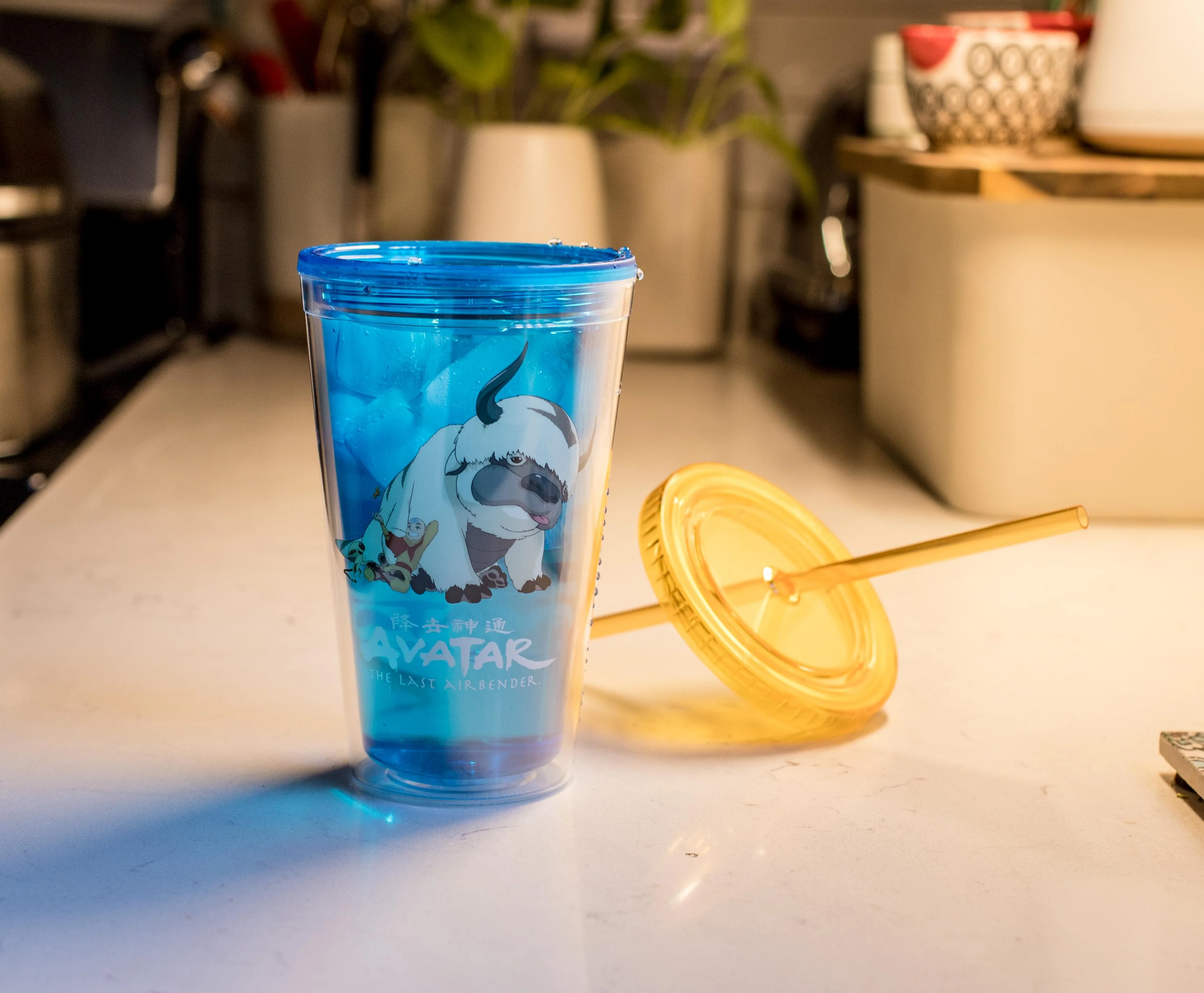 Avatar: The Last Airbender Aang and Appa Carnival Cup With Straw | 16 Ounces - Image 3