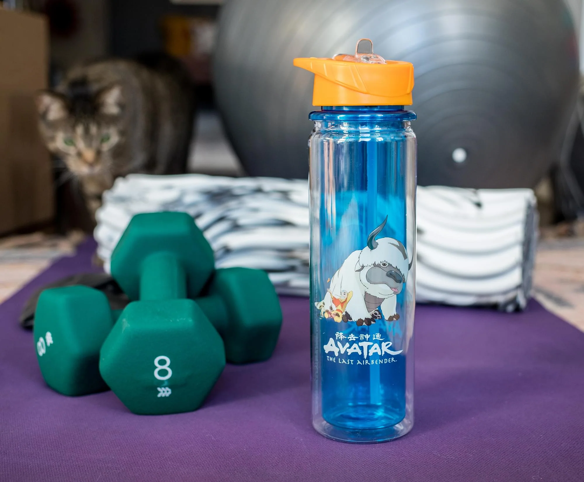 Avatar: The Last Airbender Aang and Appa Water Bottle | Holds 16 Ounces - Image 3
