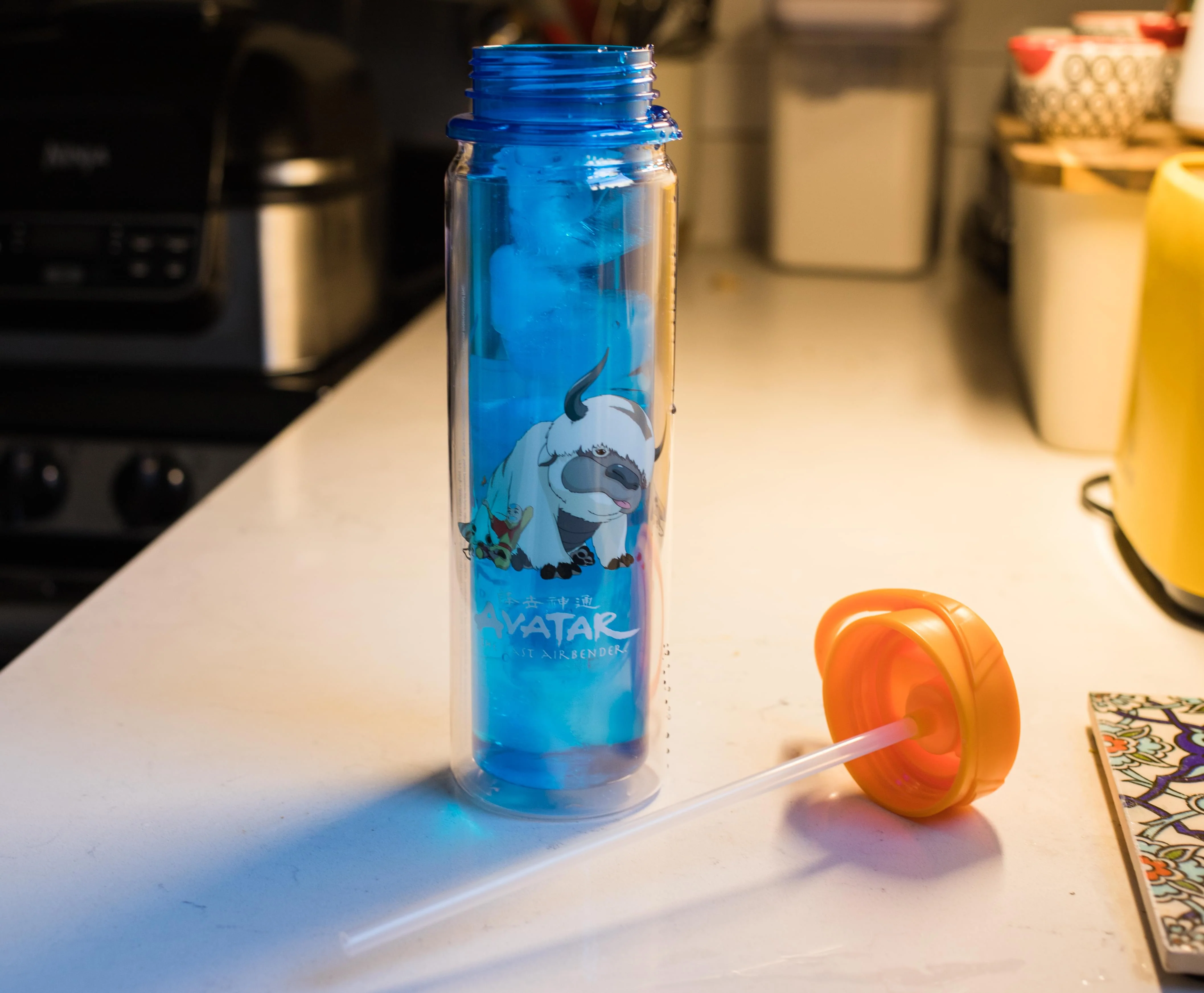 Avatar: The Last Airbender Aang and Appa Water Bottle | Holds 16 Ounces - Image 5