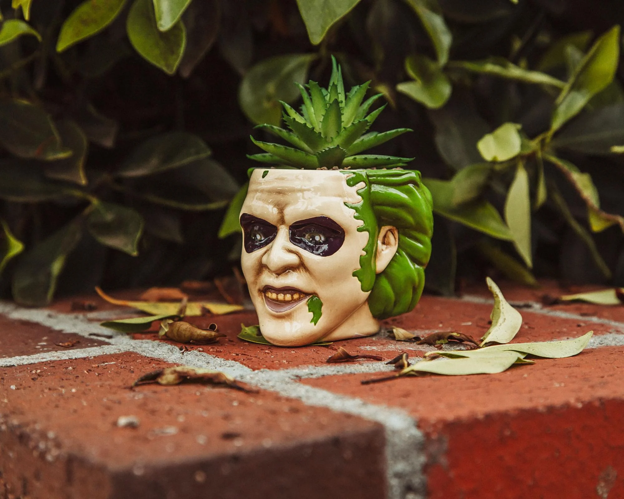Beetlejuice Head 3-Inch Ceramic Mini Planter with Artificial Succulent - Image 6