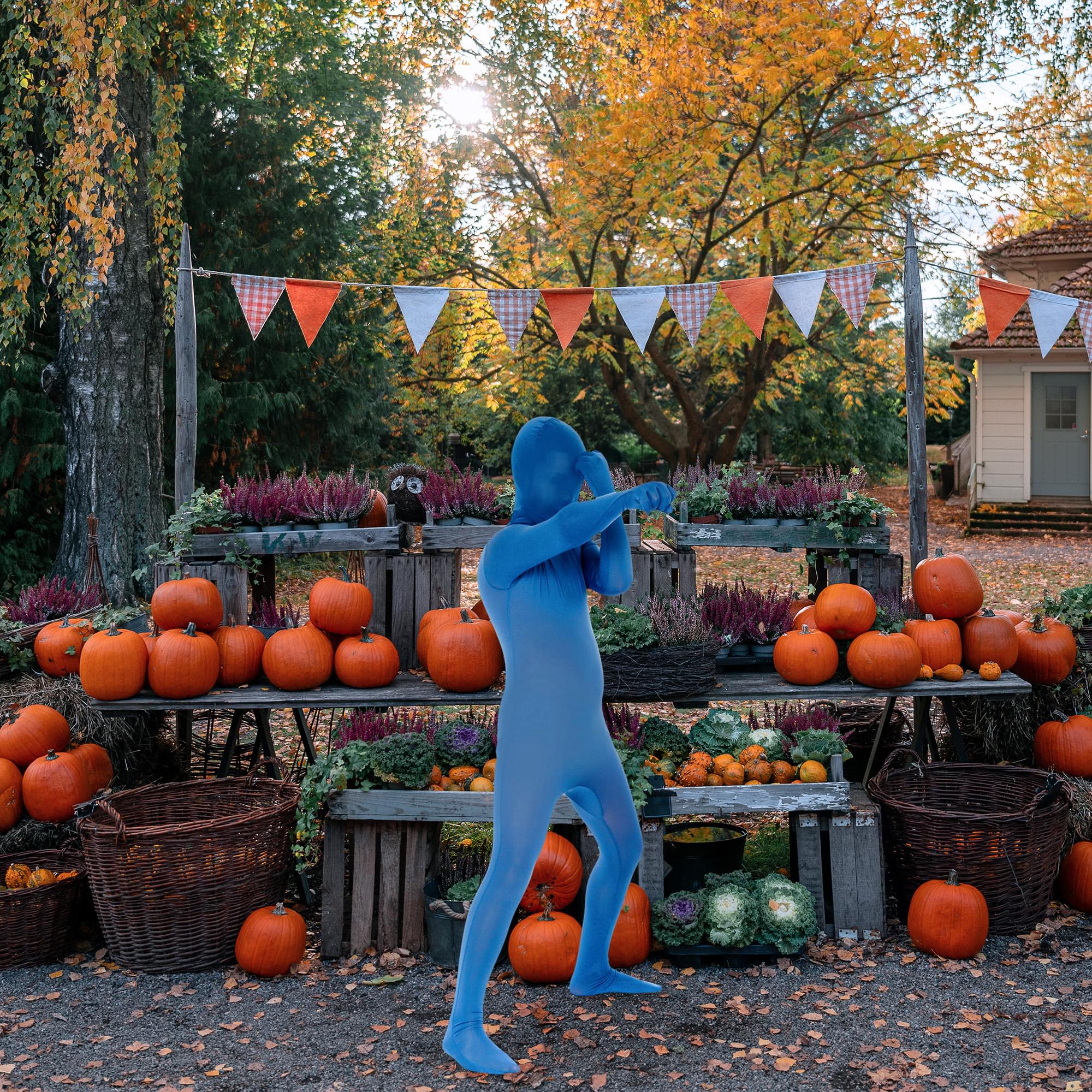 Blue Child Costume Morphsuit - Image 11