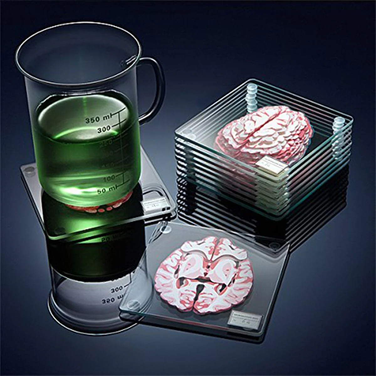 Brain Specimen 10-Piece Coaster Set - Image 3