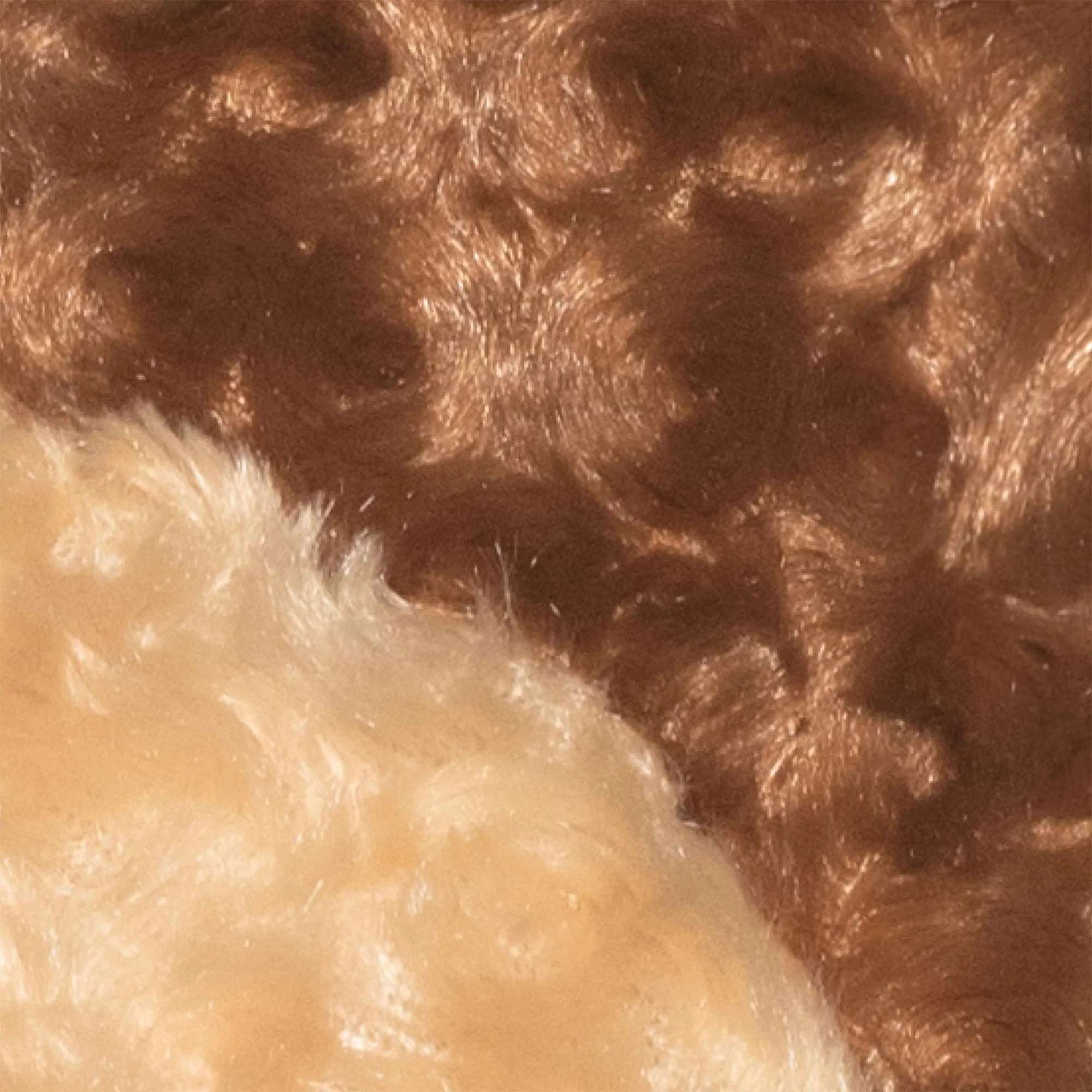 Brown Beaver Plush Baby Costume With Hood - Image 15
