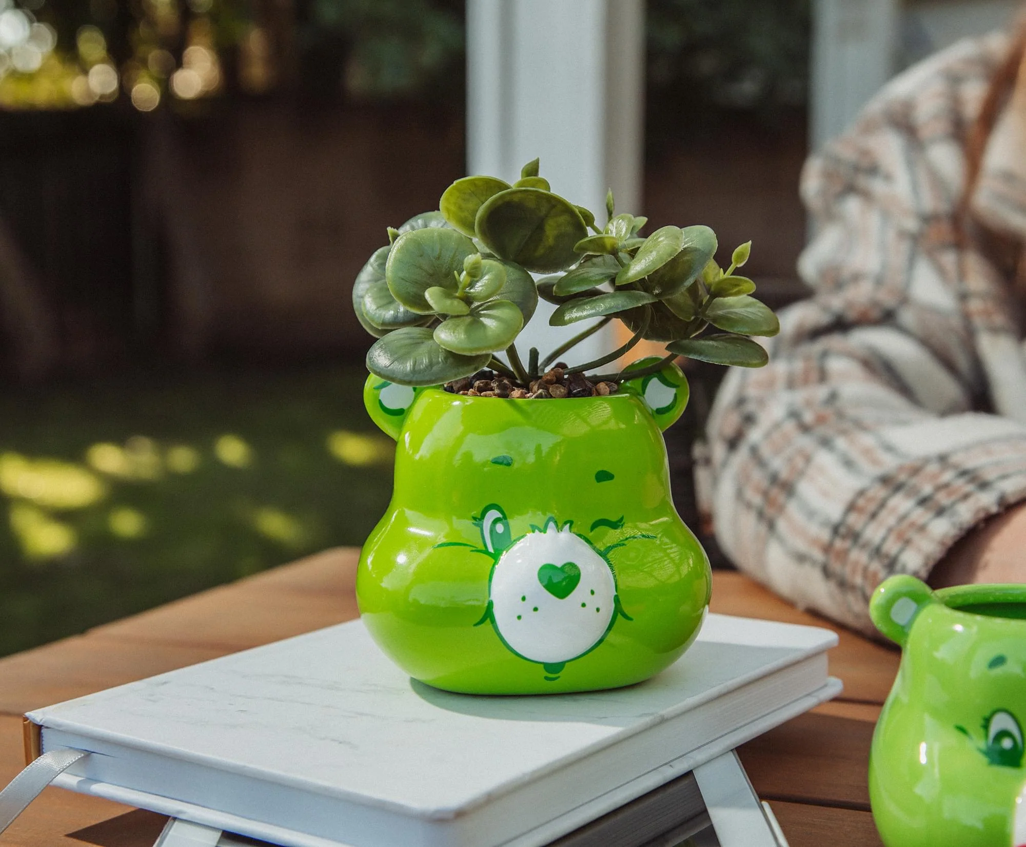 Care Bears Good Luck Bear 5-Inch Ceramic Mini Planter With Artificial Succulent - Image 5