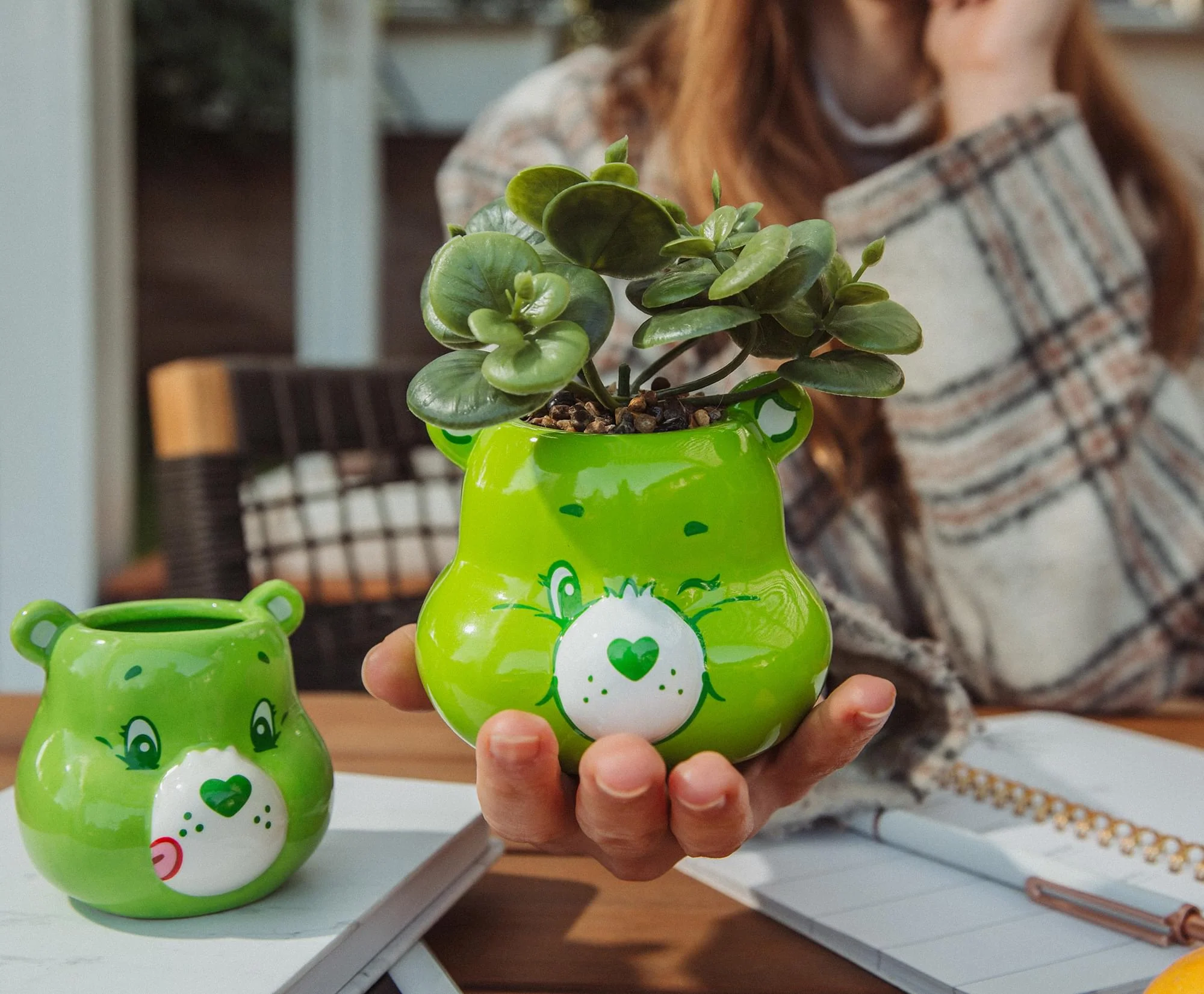Care Bears Good Luck Bear 5-Inch Ceramic Mini Planter With Artificial Succulent - Image 6
