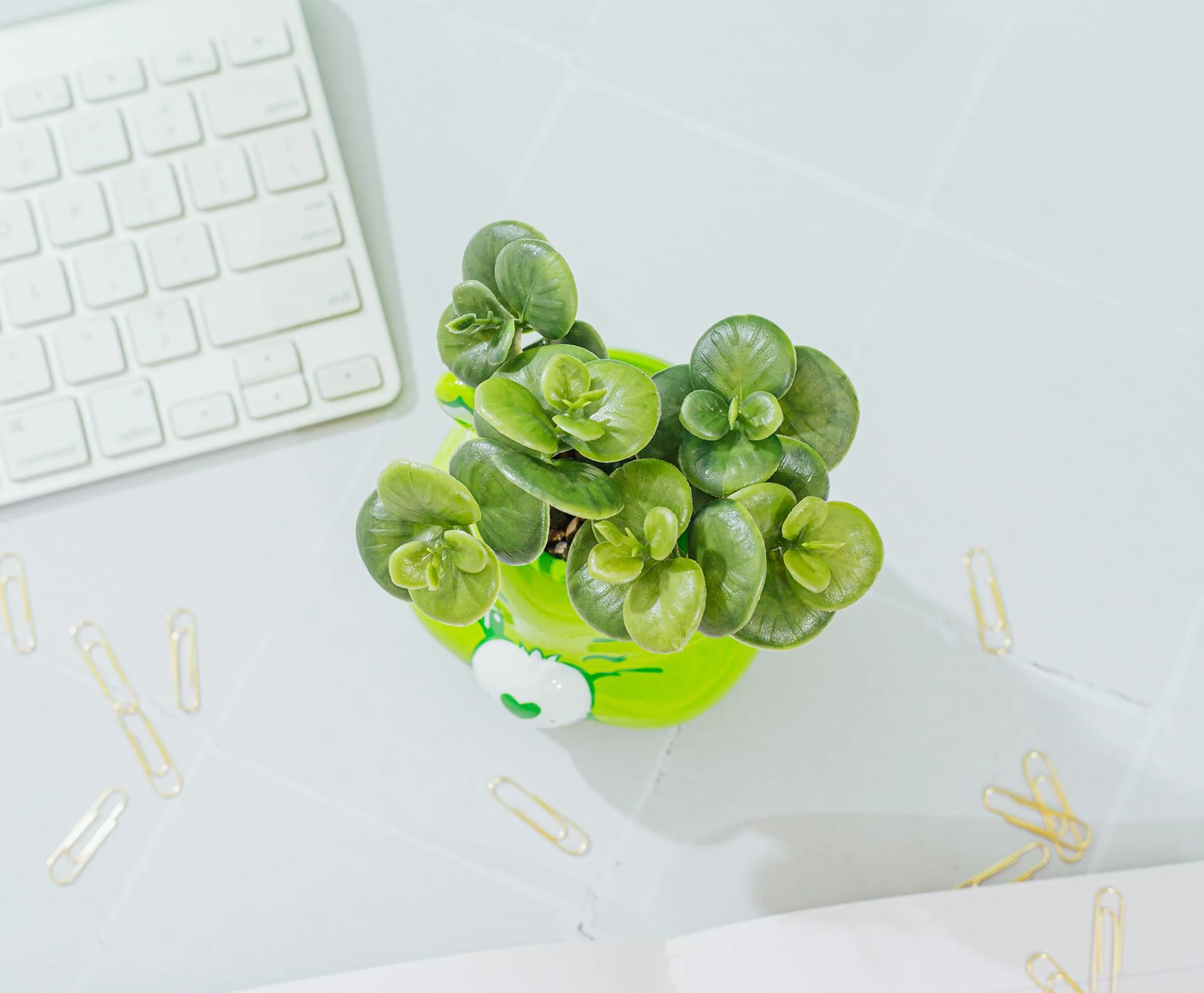Care Bears Good Luck Bear 5-Inch Ceramic Mini Planter With Artificial Succulent - Image 7