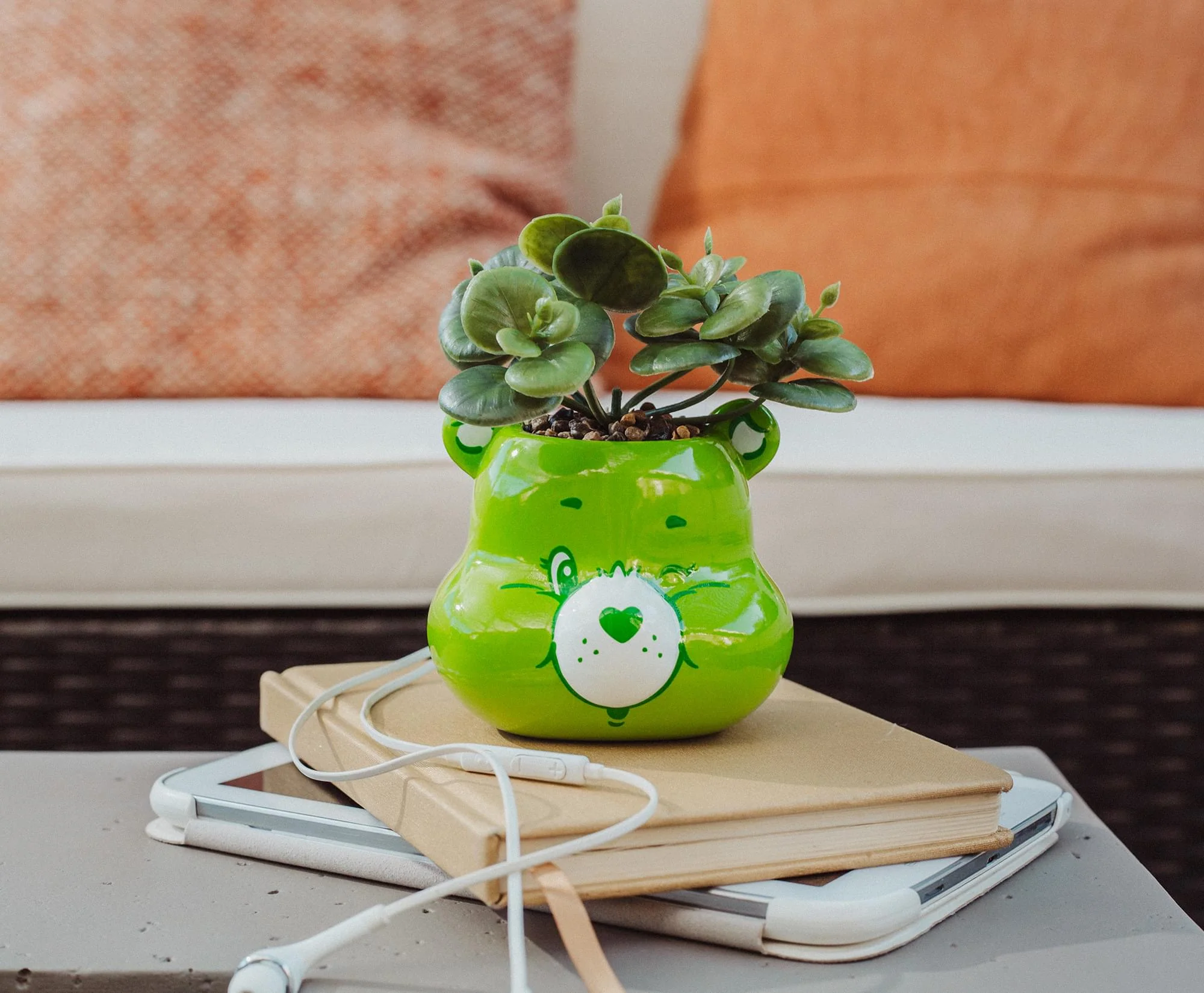 Care Bears Good Luck Bear 5-Inch Ceramic Mini Planter With Artificial Succulent - Image 8