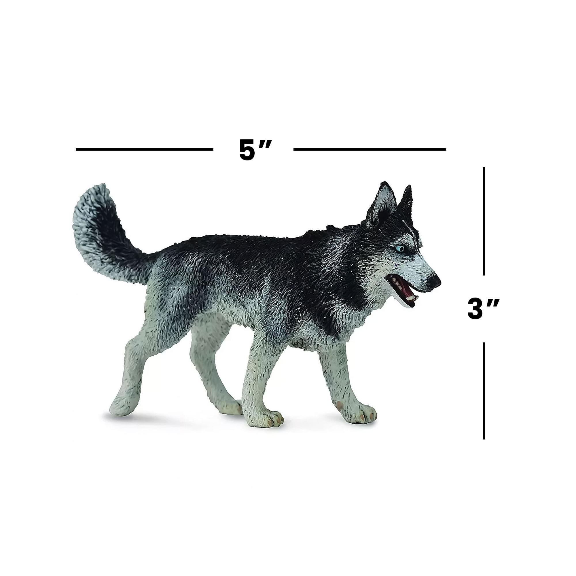 CollectA Cats & Dogs Collection Miniature Figure | Siberian Husky - Image 4