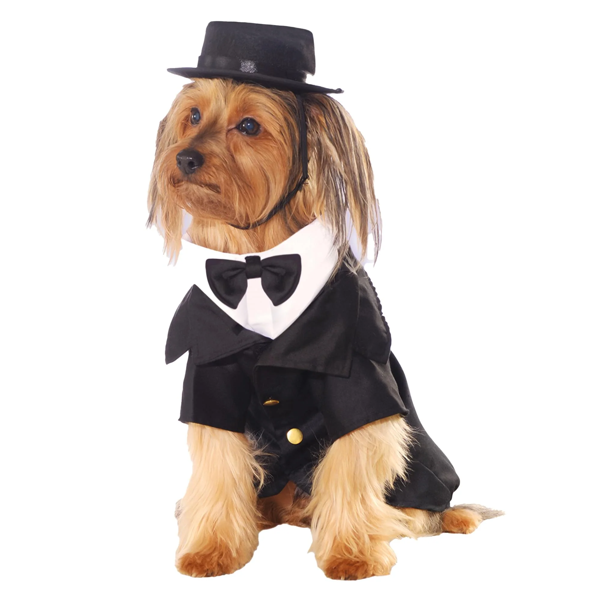 Dapper Dog Back, Chest Adult Costume - Image 7