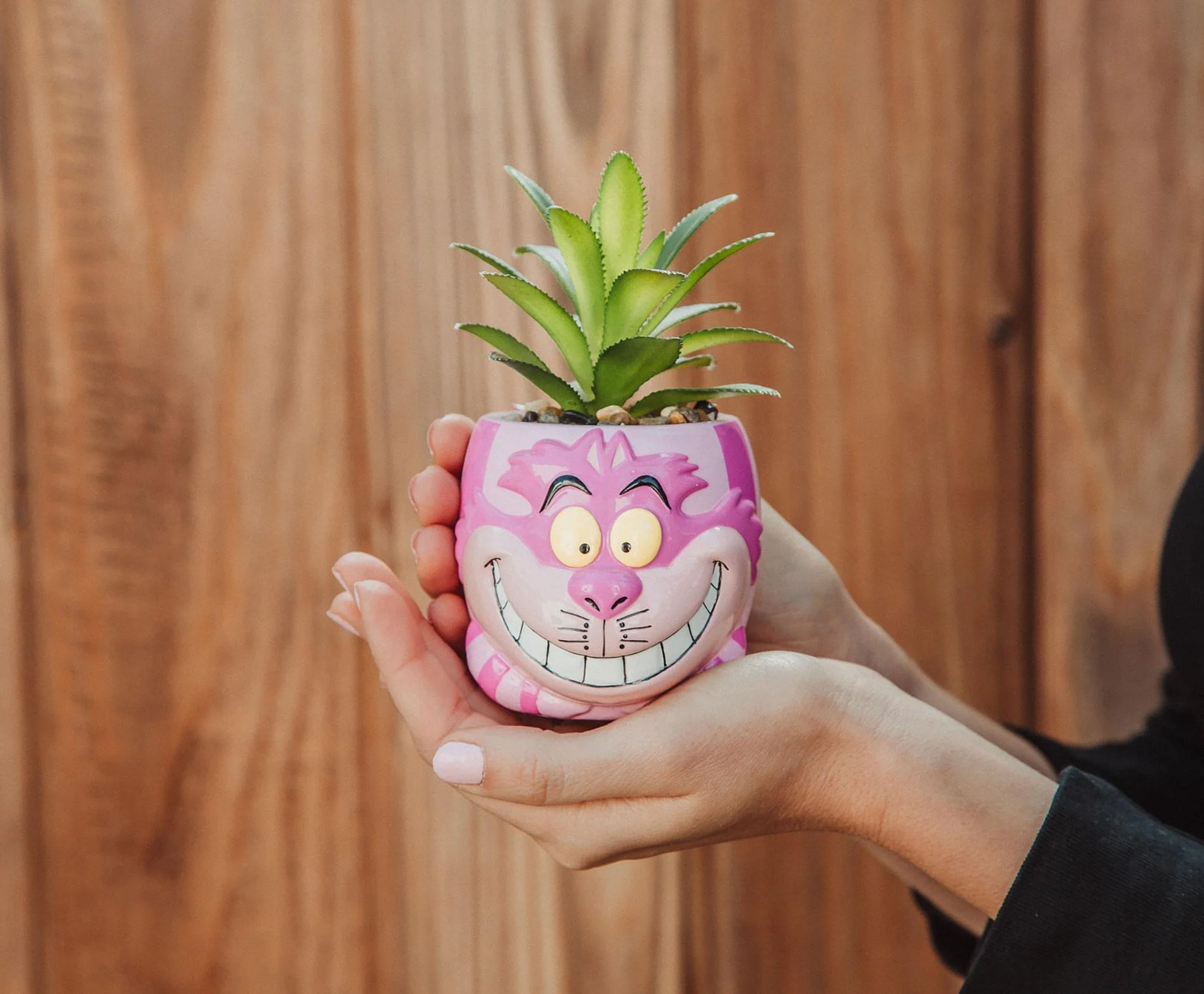 Disney Alice In Wonderland Cheshire Cat Mini Planter with Artificial Succulent - Image 3