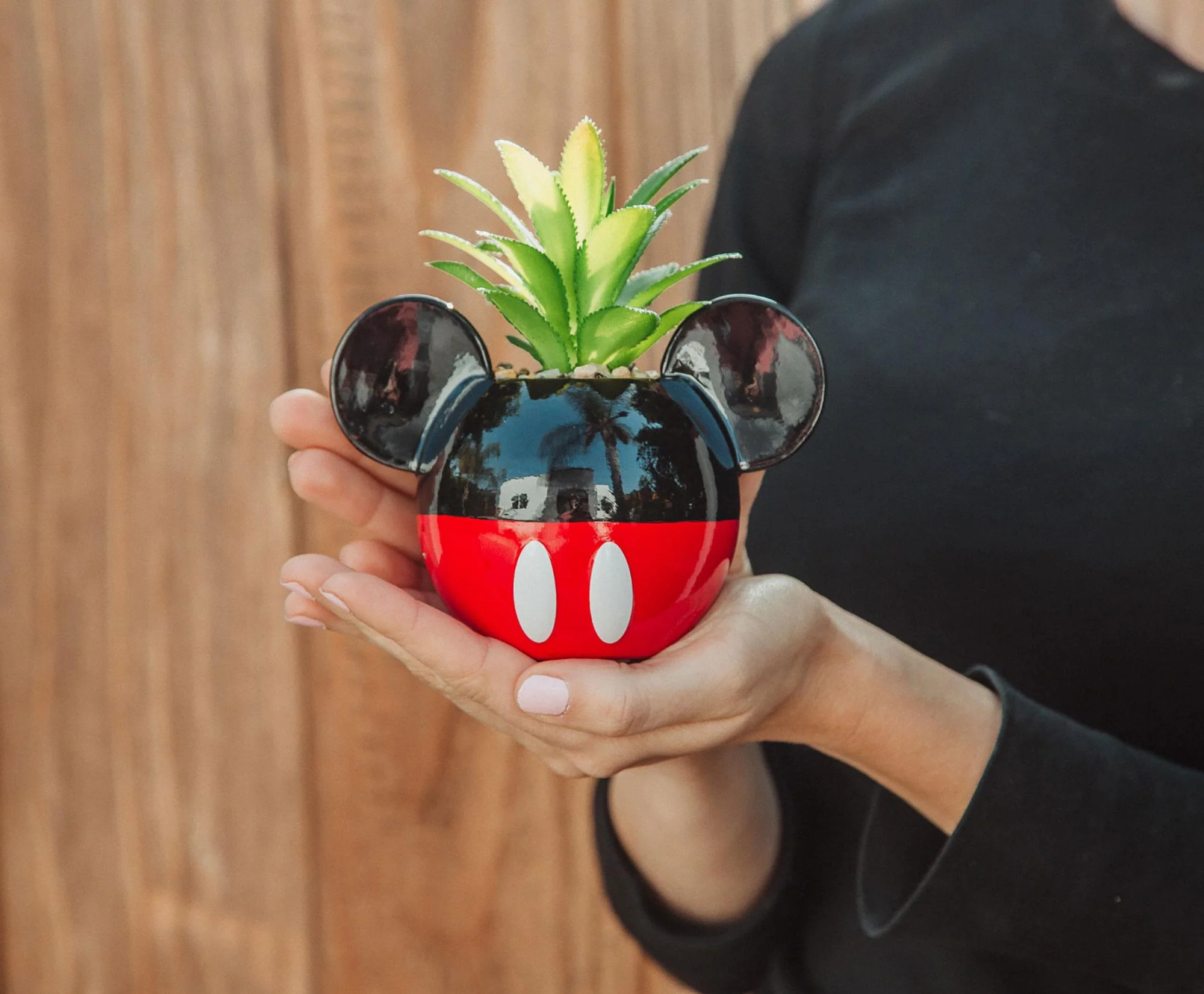 Disney Mickey Mouse 3-Inch Ceramic Mini Planter with Artificial Succulent - Image 3