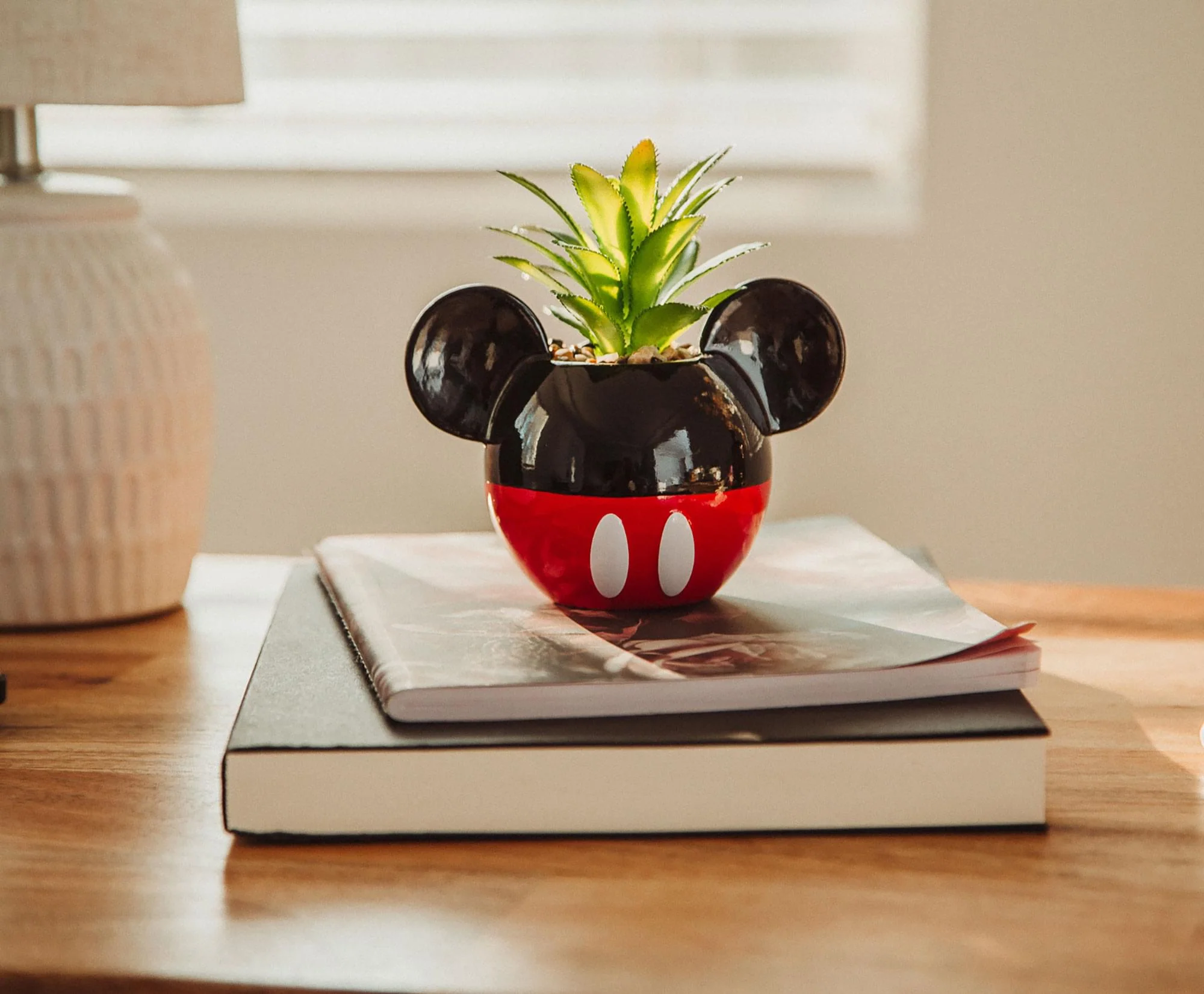 Disney Mickey Mouse 3-Inch Ceramic Mini Planter with Artificial Succulent - Image 6