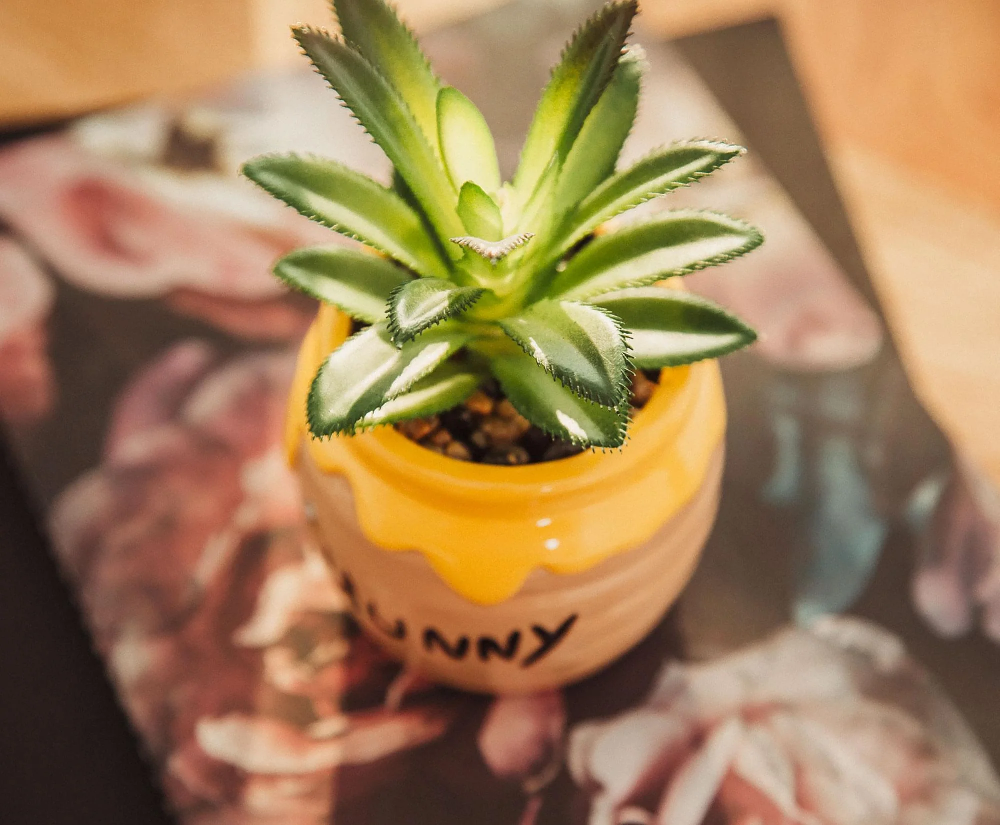 Disney Winnie The Pooh Hunny Pot Ceramic Mini Planter with Artificial Succulent - Image 4