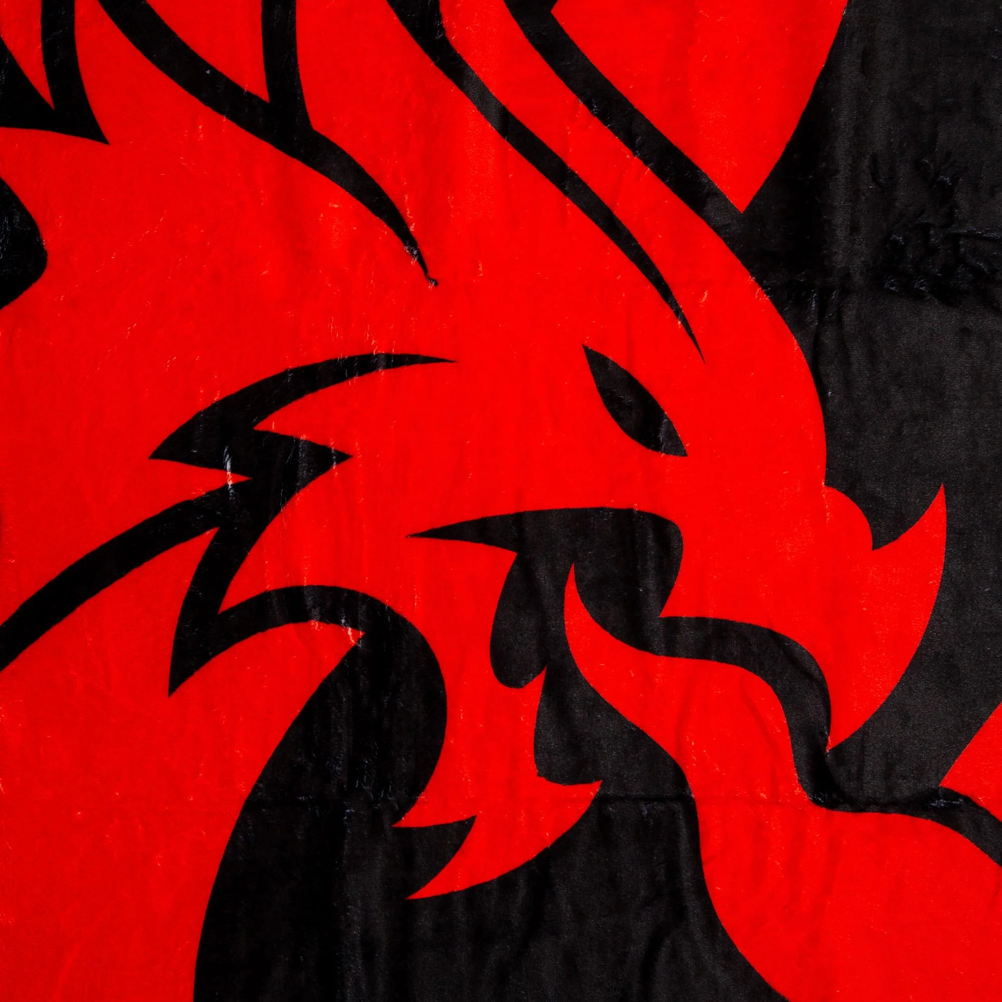 Dungeons & Dragons Logo Fleece Throw Blanket | 45 x 60 Inches - Image 2