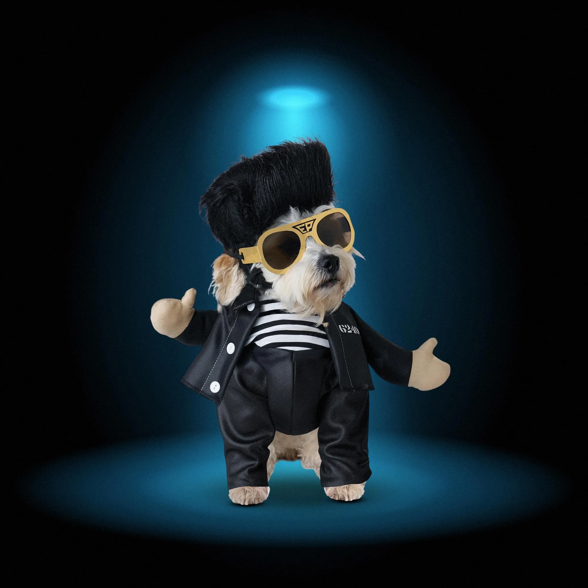 Elvis Jailhouse Rock Pet Costume - Image 2