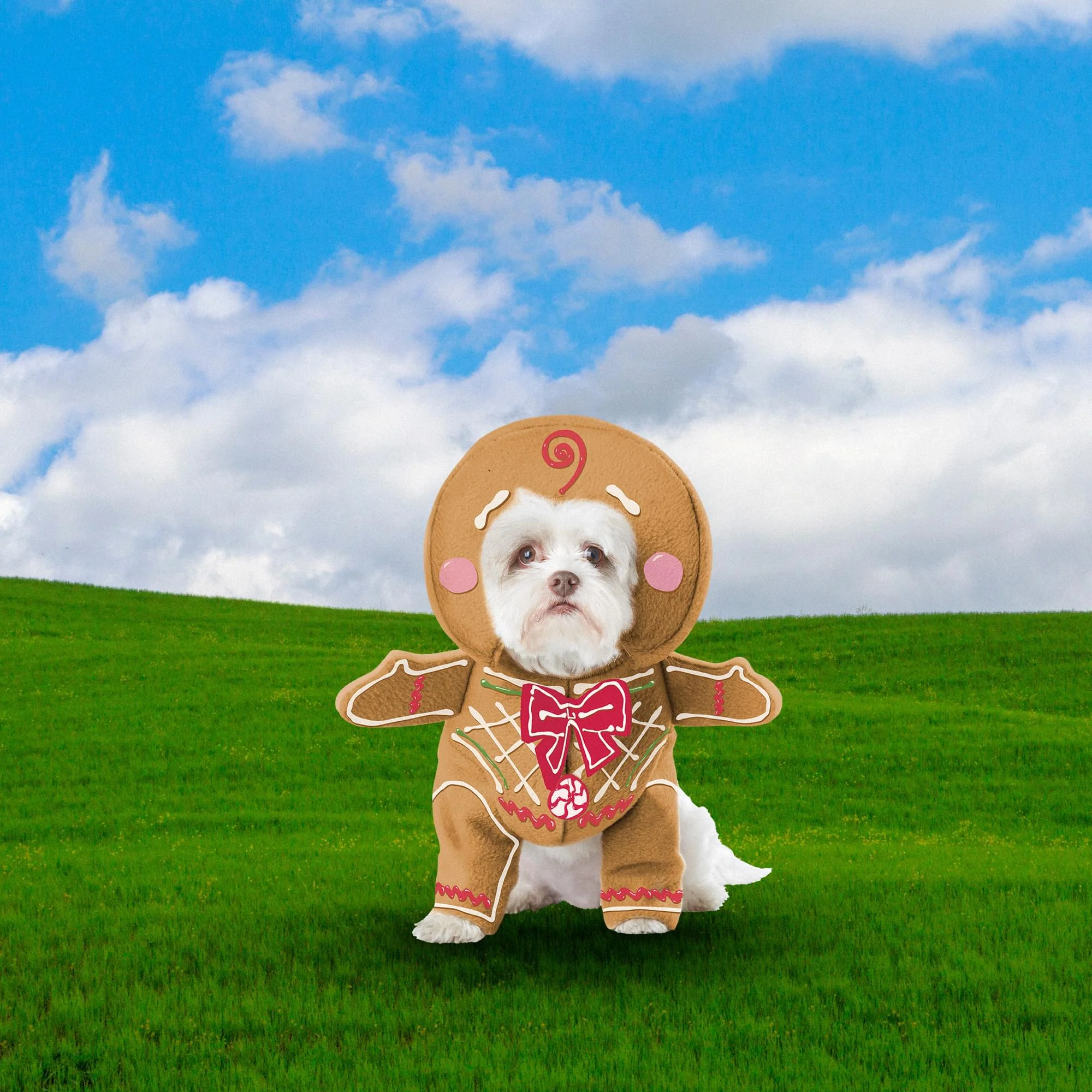 Gingerbread Pup Pet Costume - Image 3