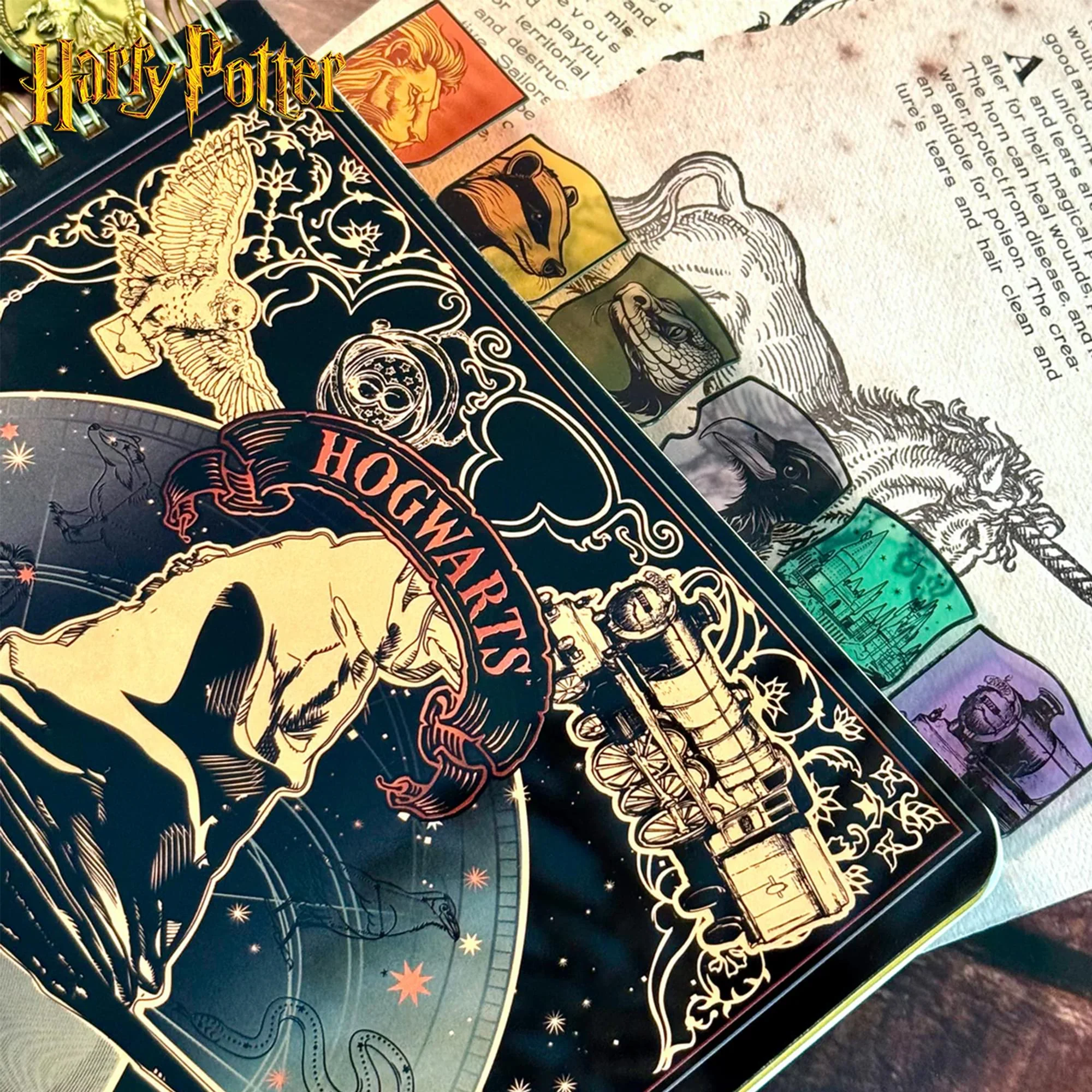 Harry Potter Sorting Hat 8 x 7 Inch 6-Tabbed Spiral Journal | 144 Pages - Image 3
