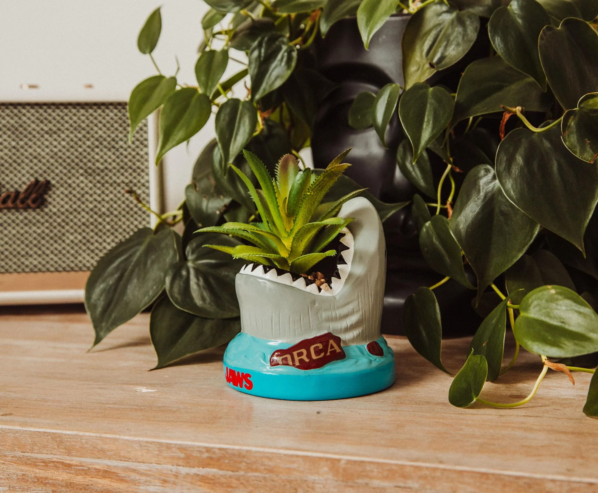 JAWS Shark 4-Inch Ceramic Mini Planter With Artificial Succulent - Image 8