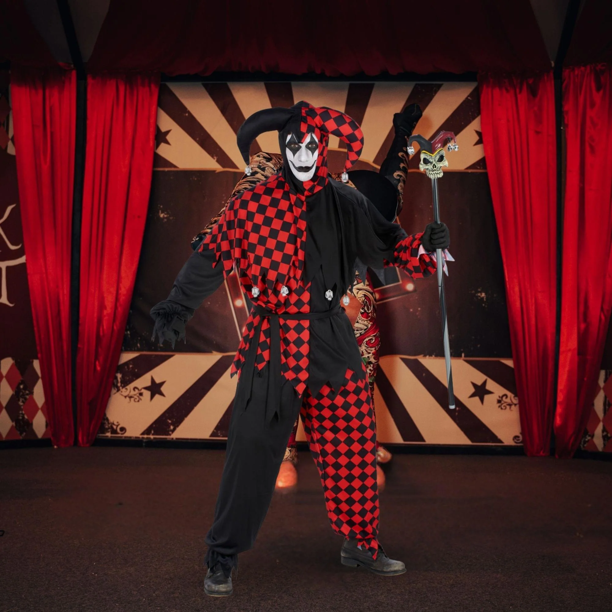 Jester Adult Costume - Image 12
