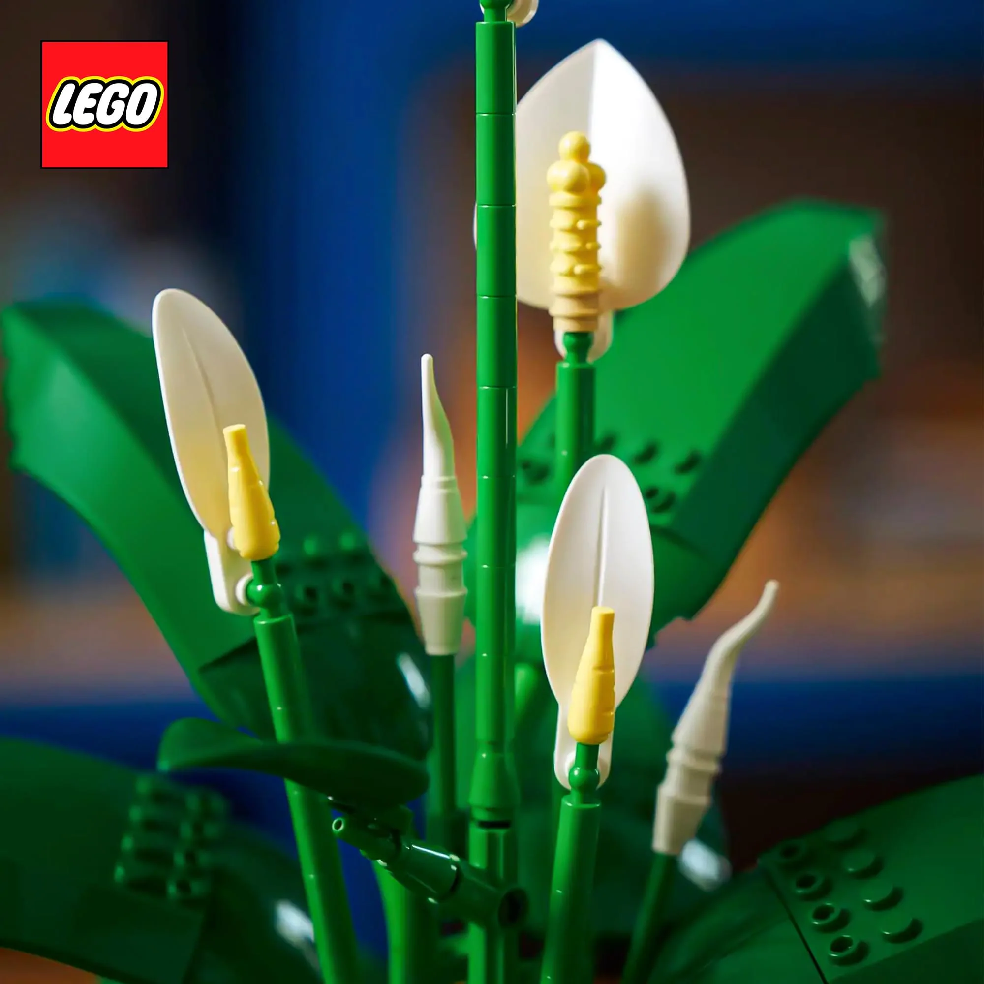 LEGO Botanicals 11504 Peace Lily 474-Piece Building Set - Image 7