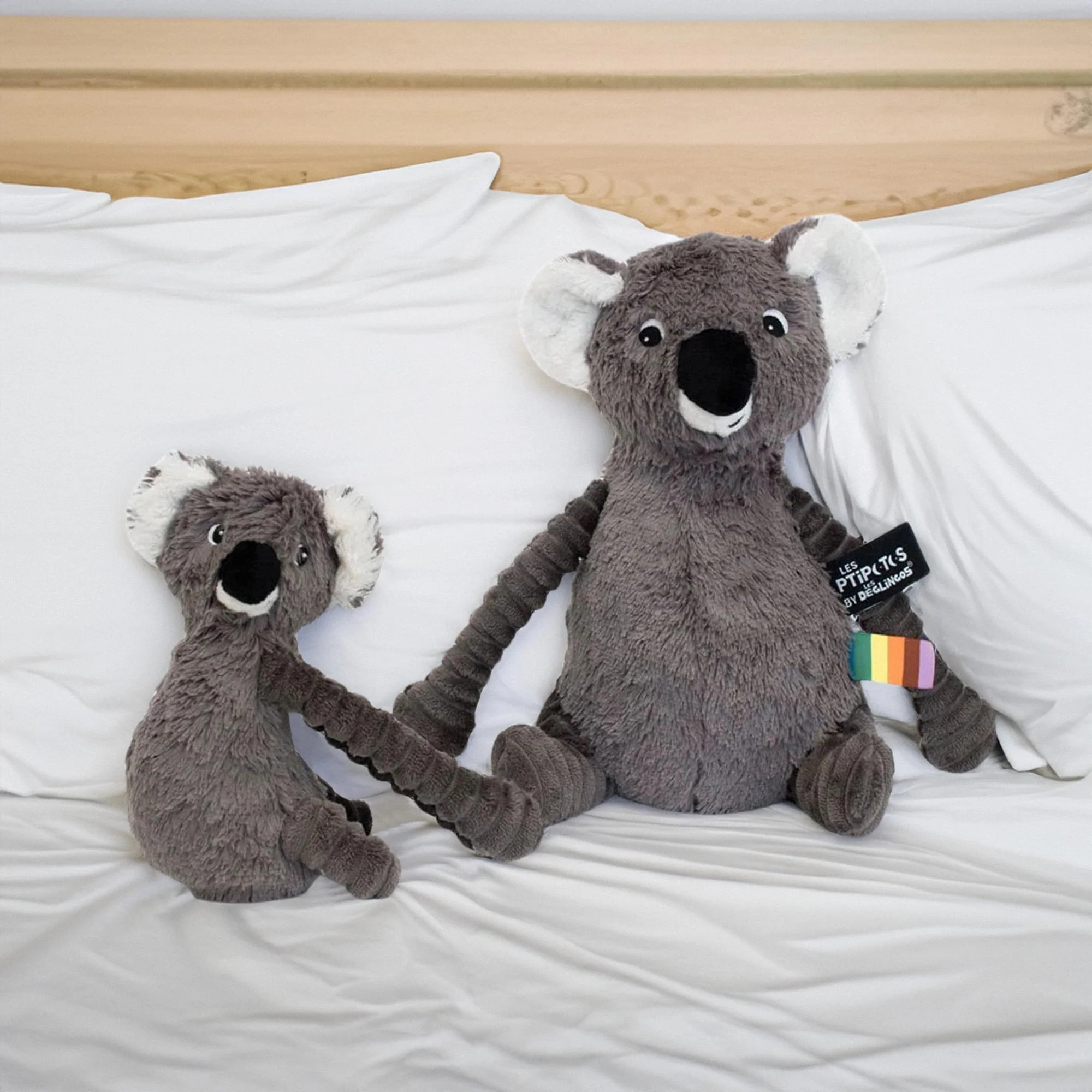 Les Deglingos Ptipotos Trankilou the Koala Plush | Grey - Image 4