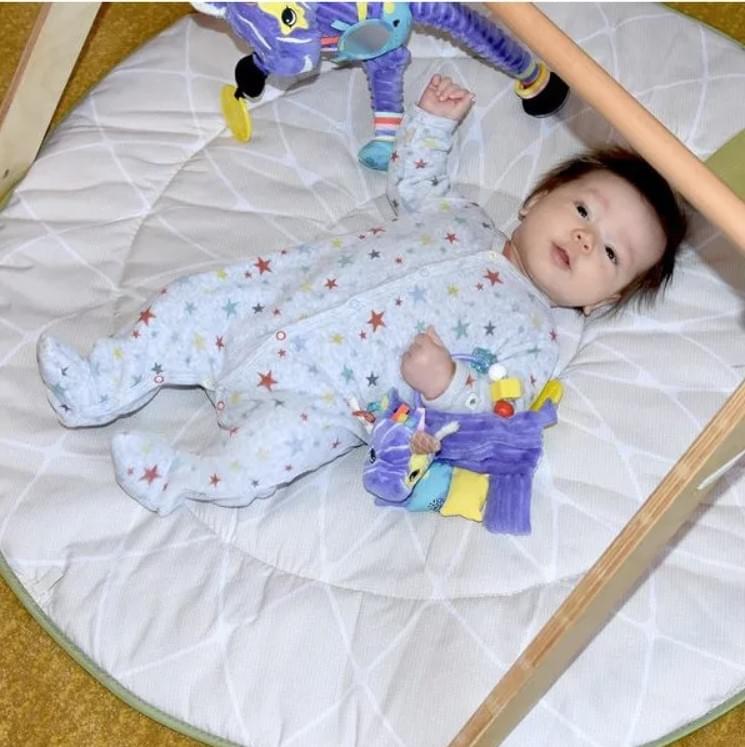 Les Delingos Baby Activity Rattle | Kiprokos the Zebra - Image 3
