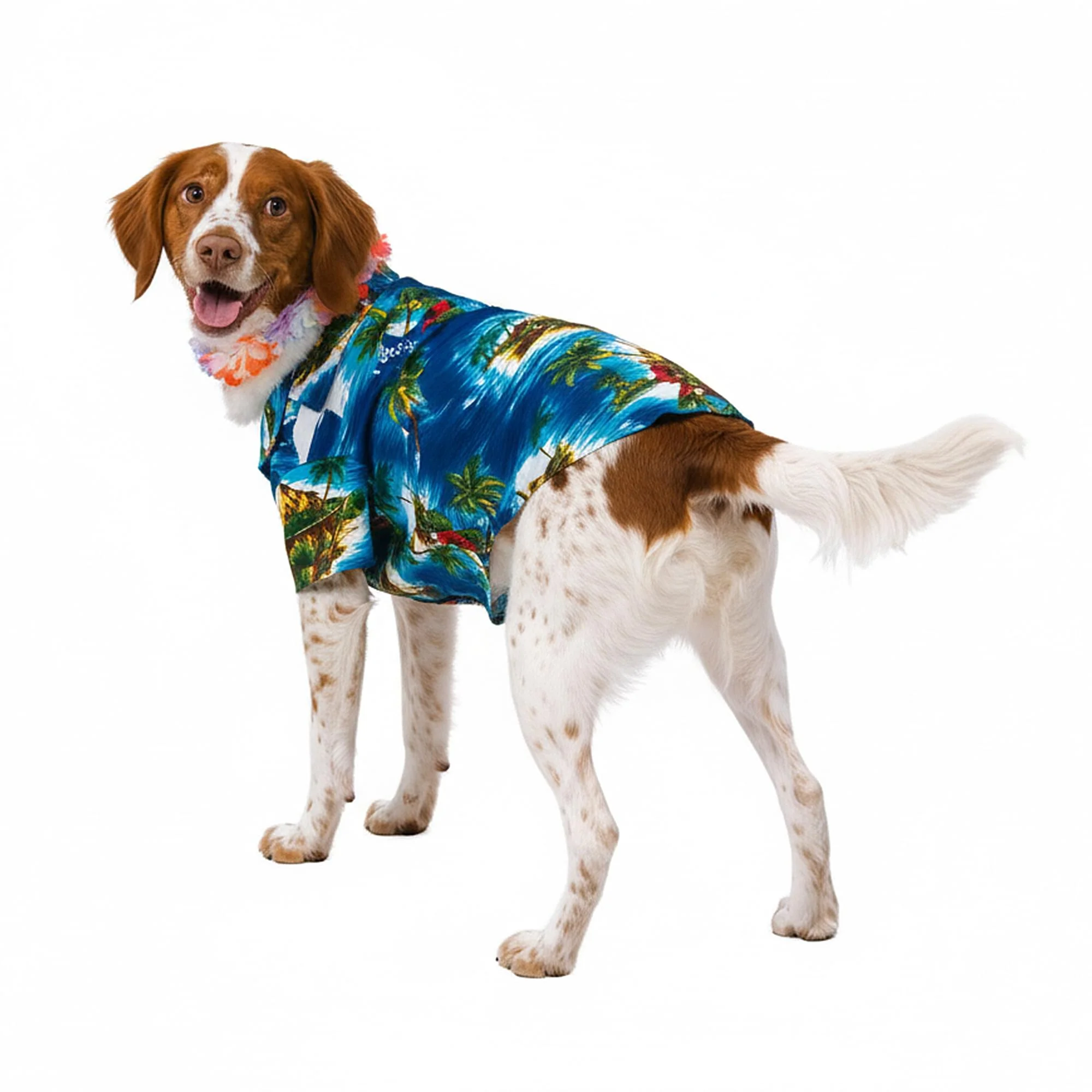 Luau Dog Back, Chest Adult Costume - Image 9