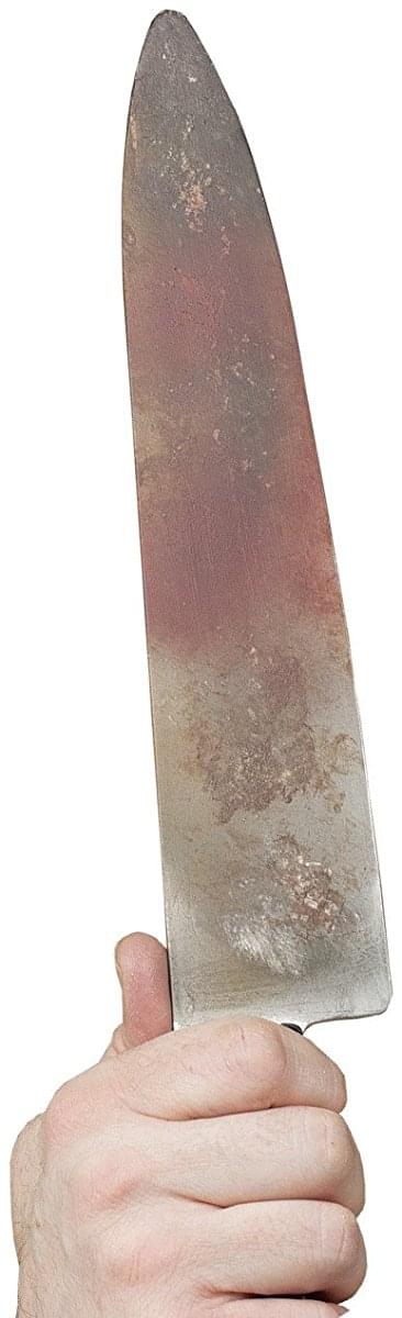 Michael Myers Knife Costume Accessory