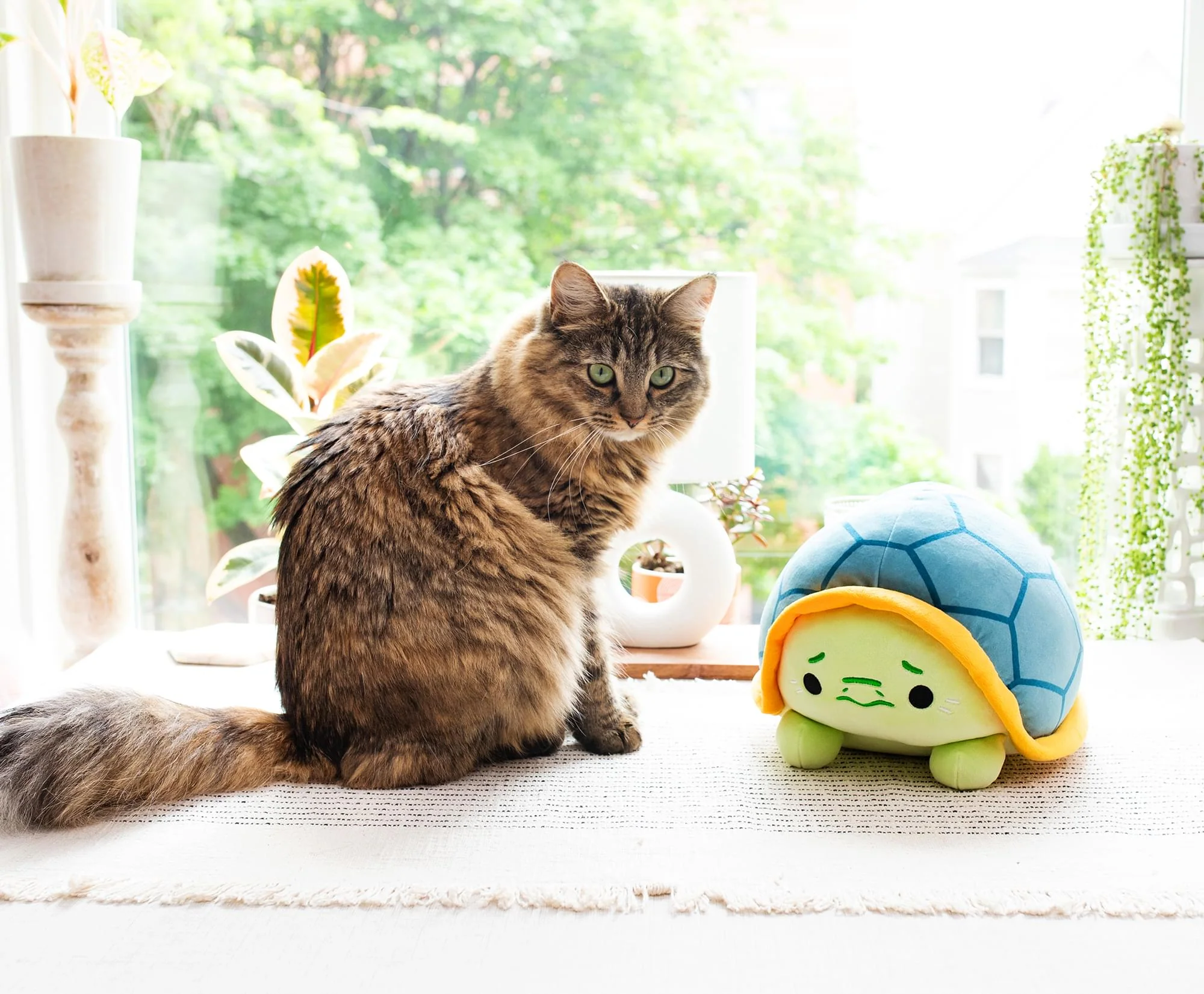 MochiOshis Turtle 12-Inch Character Plush Toy | Jinba Osoioshi - Image 8
