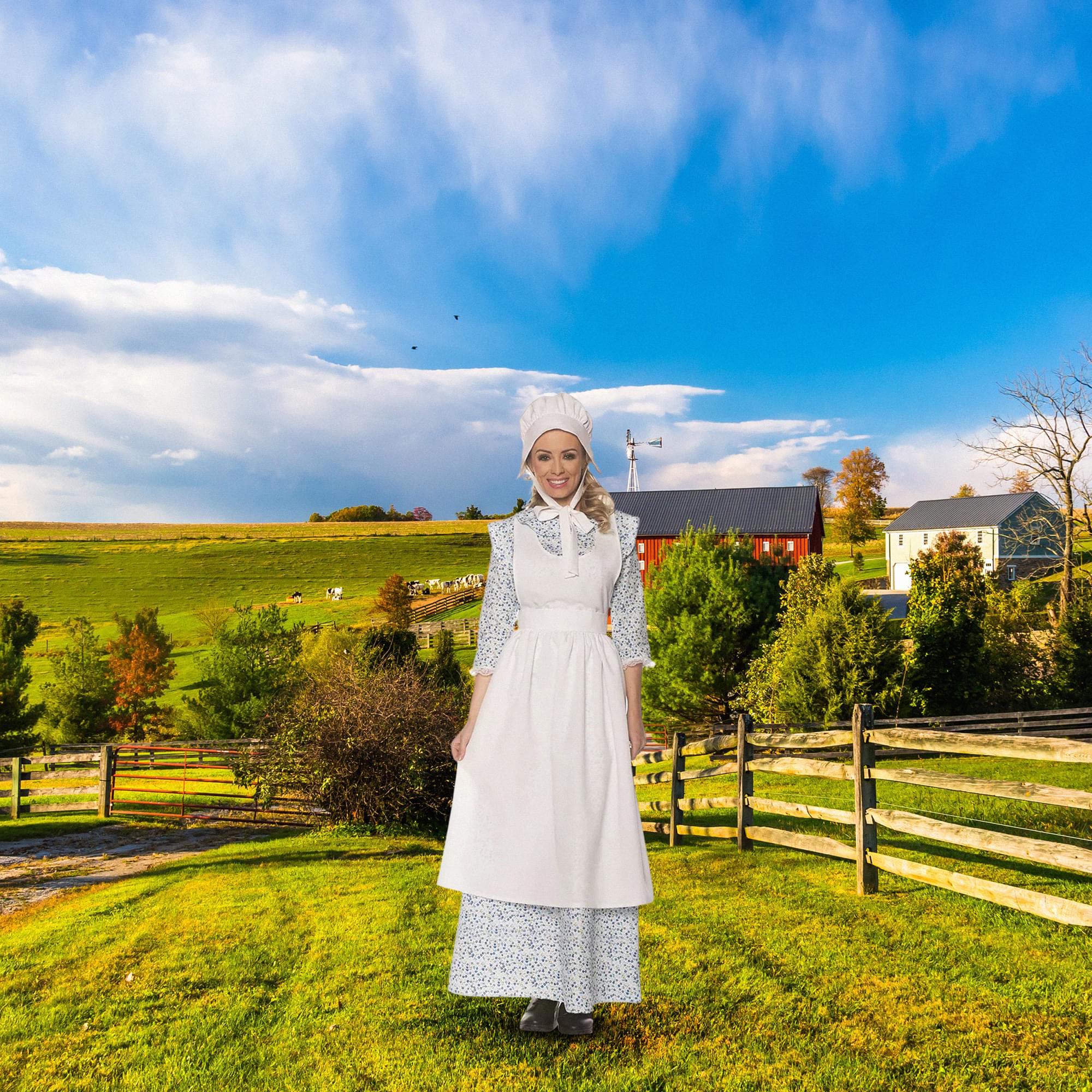 Prairie Girl Costume - Image 2