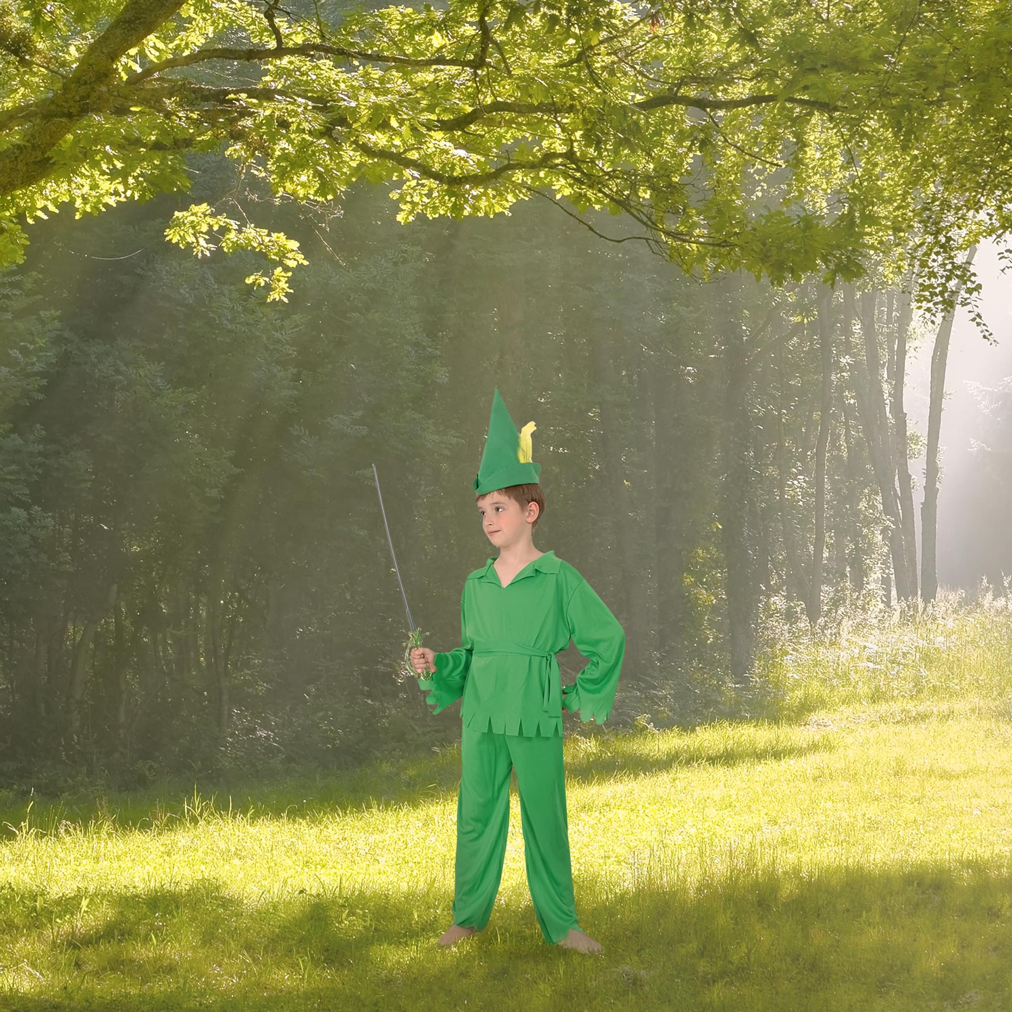 Robin Hood / Peter Pan Child Costume - Image 10