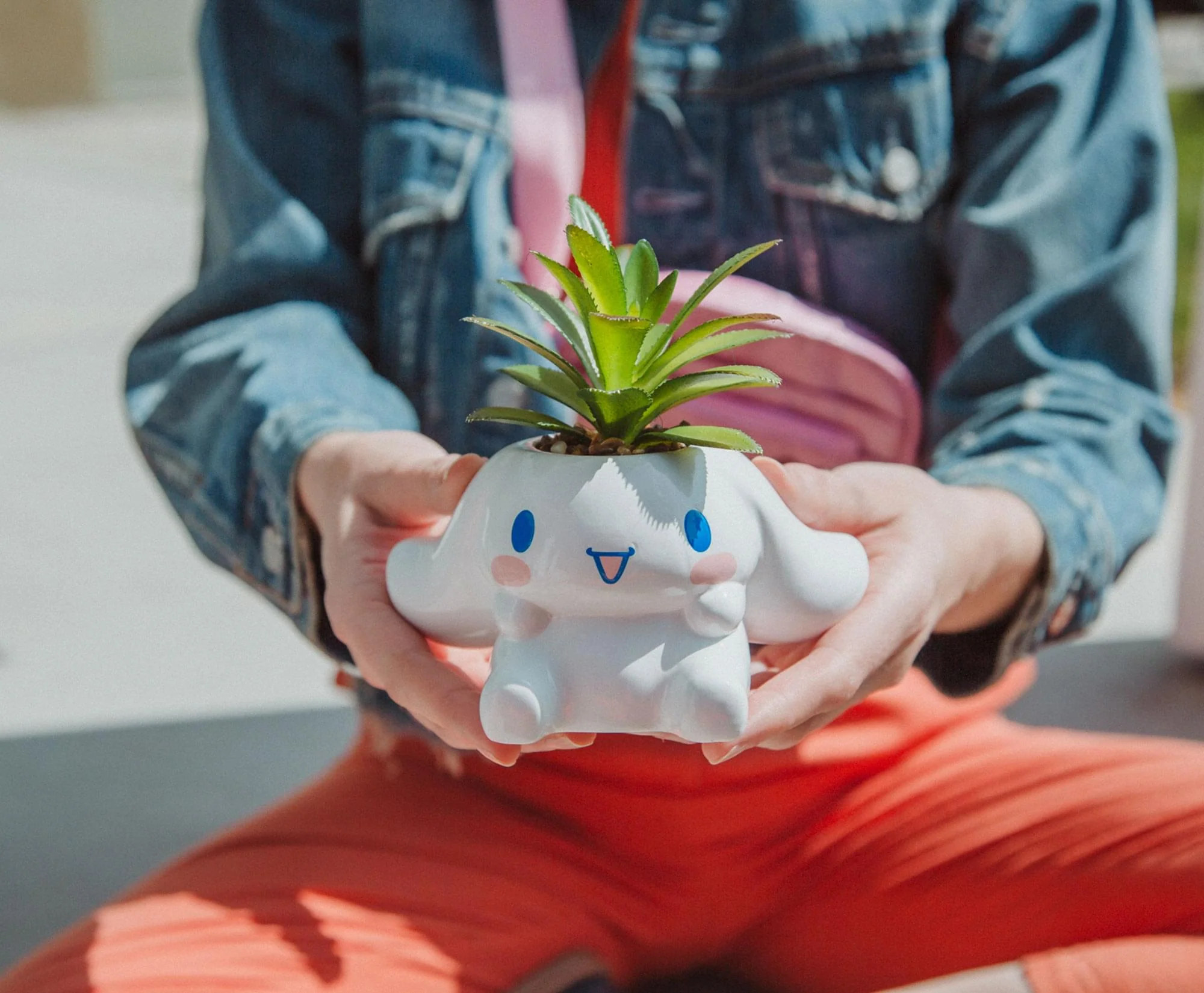 Sanrio Cinnamoroll 3-Inch Ceramic Mini Planter With Artificial Succulent - Image 8