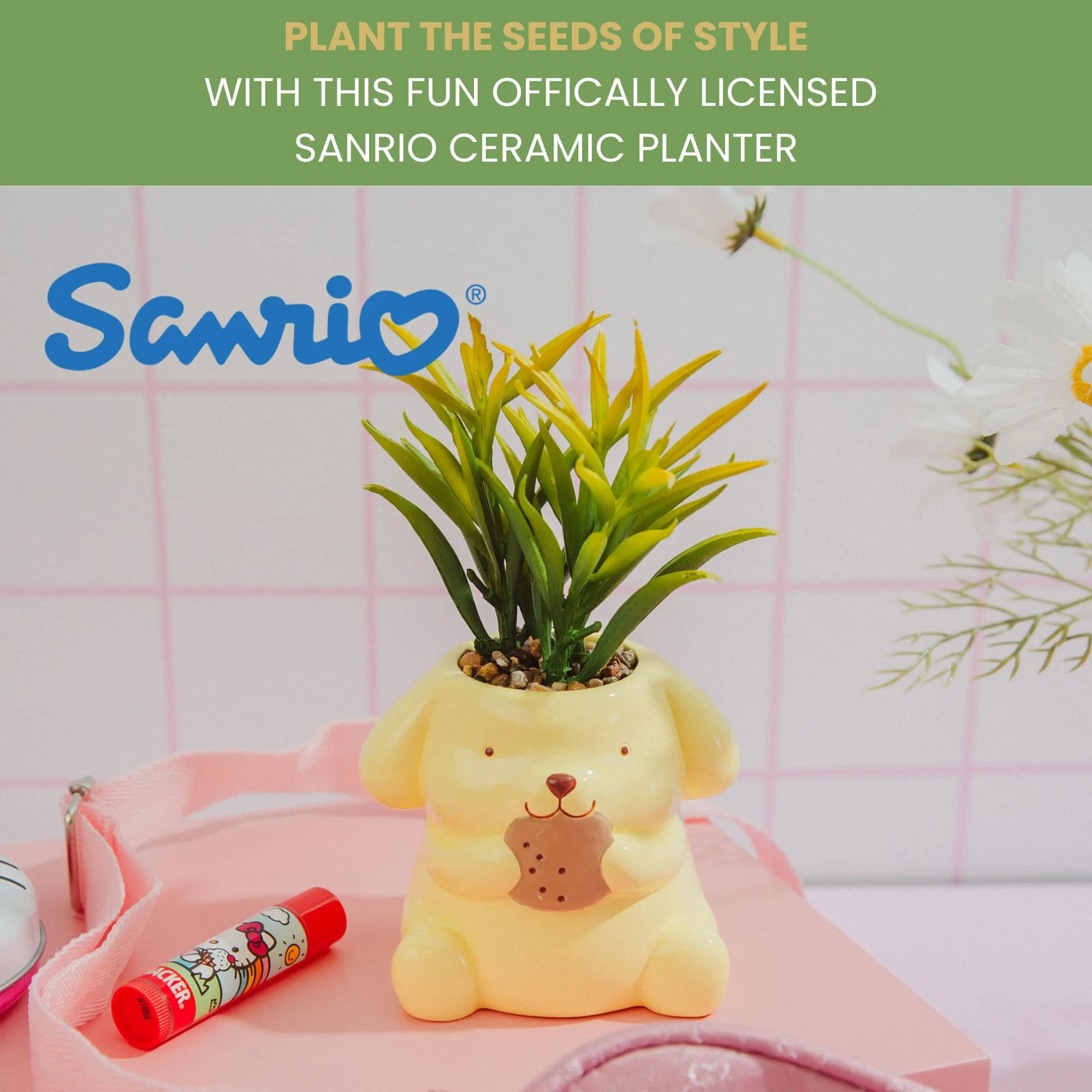 Sanrio Pompompurin 3-Inch Ceramic Mini Planter With Artificial Succulent - Image 4