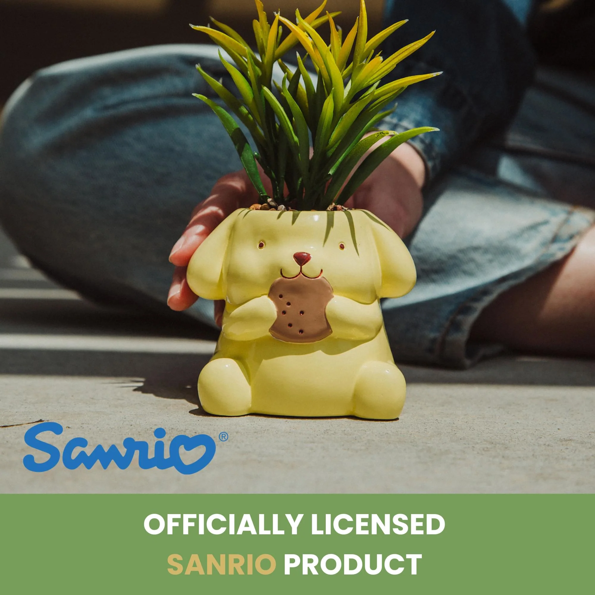 Sanrio Pompompurin 3-Inch Ceramic Mini Planter With Artificial Succulent - Image 9