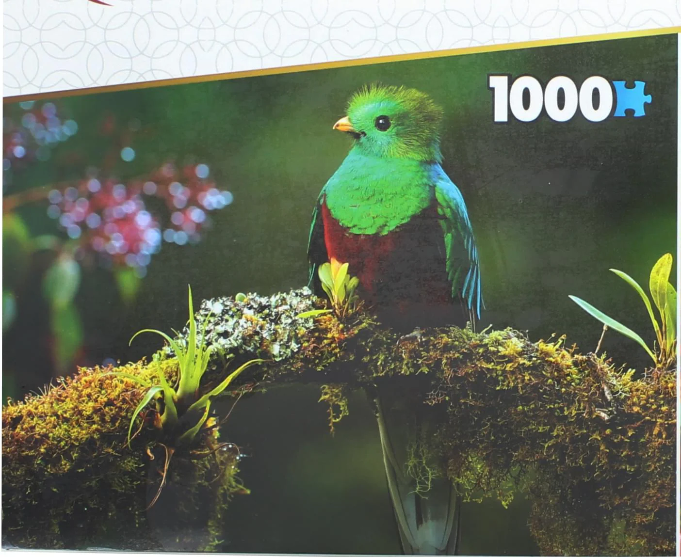Set of 2 Keepsakes 1000 Piece Jigsaw Puzzles | Colorful Birds - Image 3