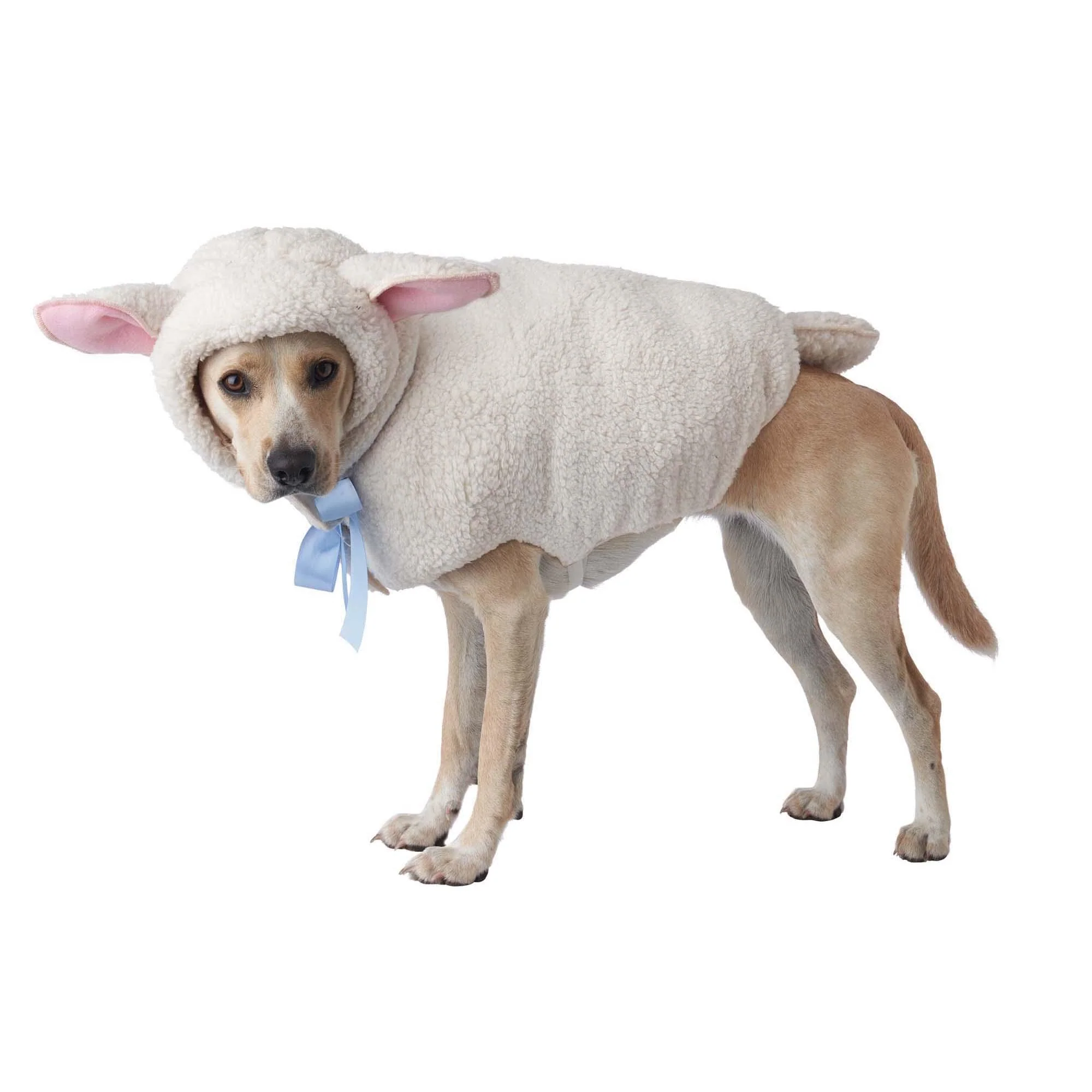 Sheep Dog Costume - Image 2