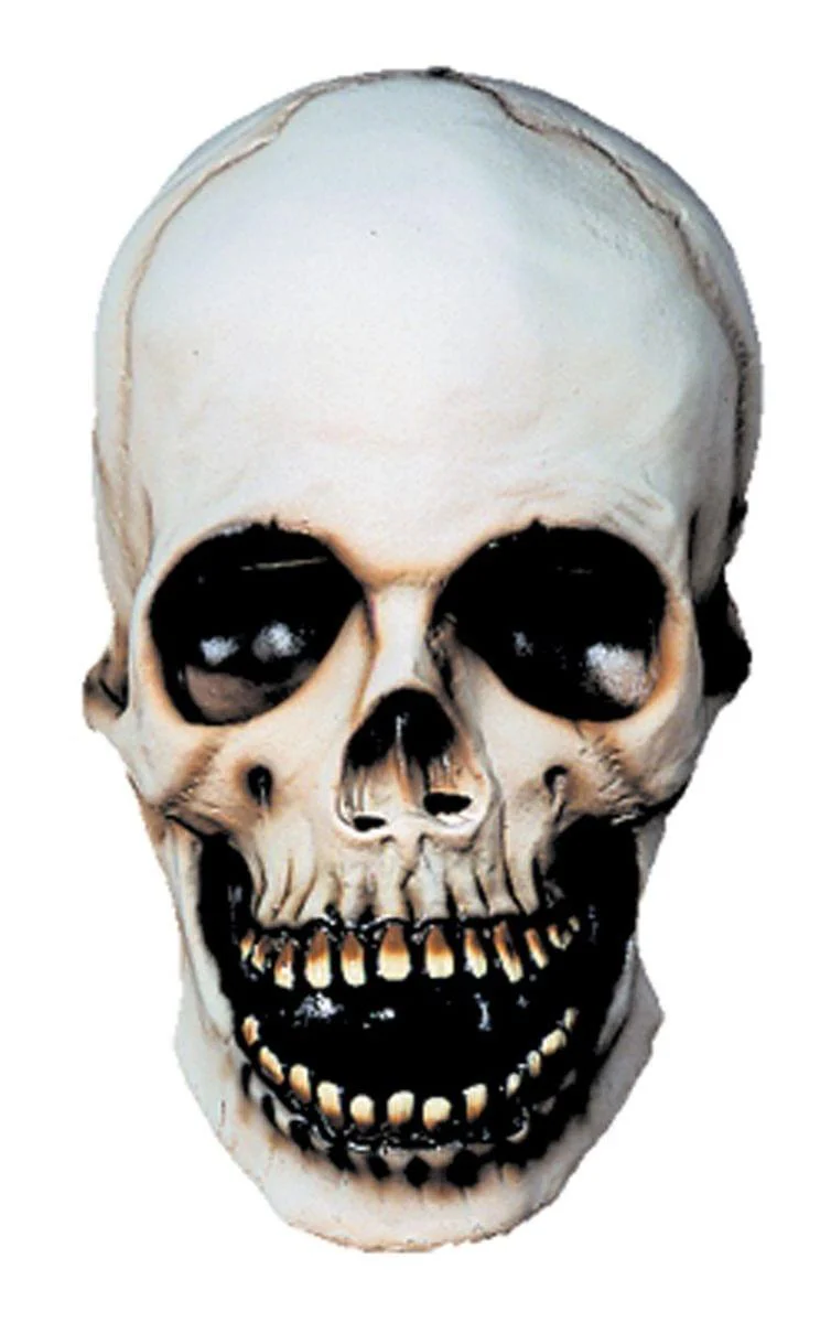 Skull Costume Mask