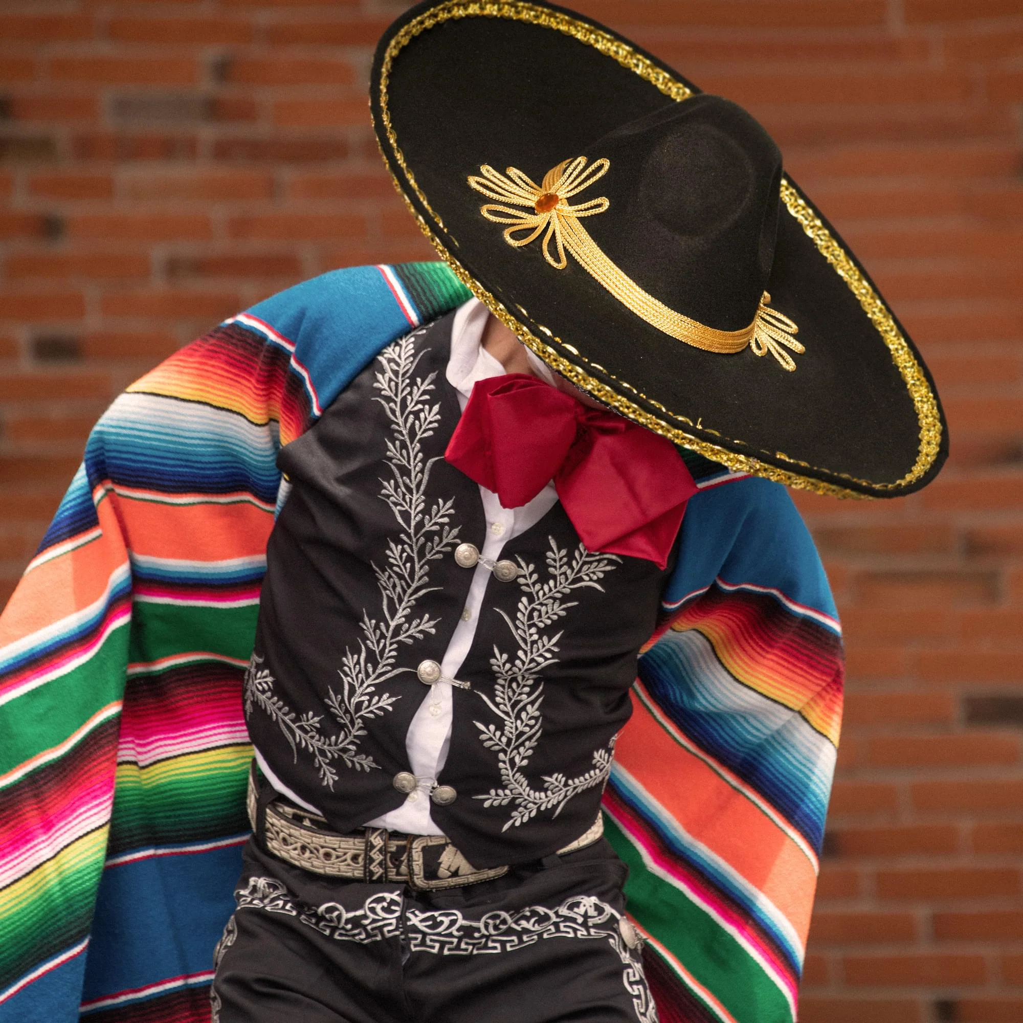 Sombrero With Gold Metallic Trim Adult Costume Accessory - Image 3