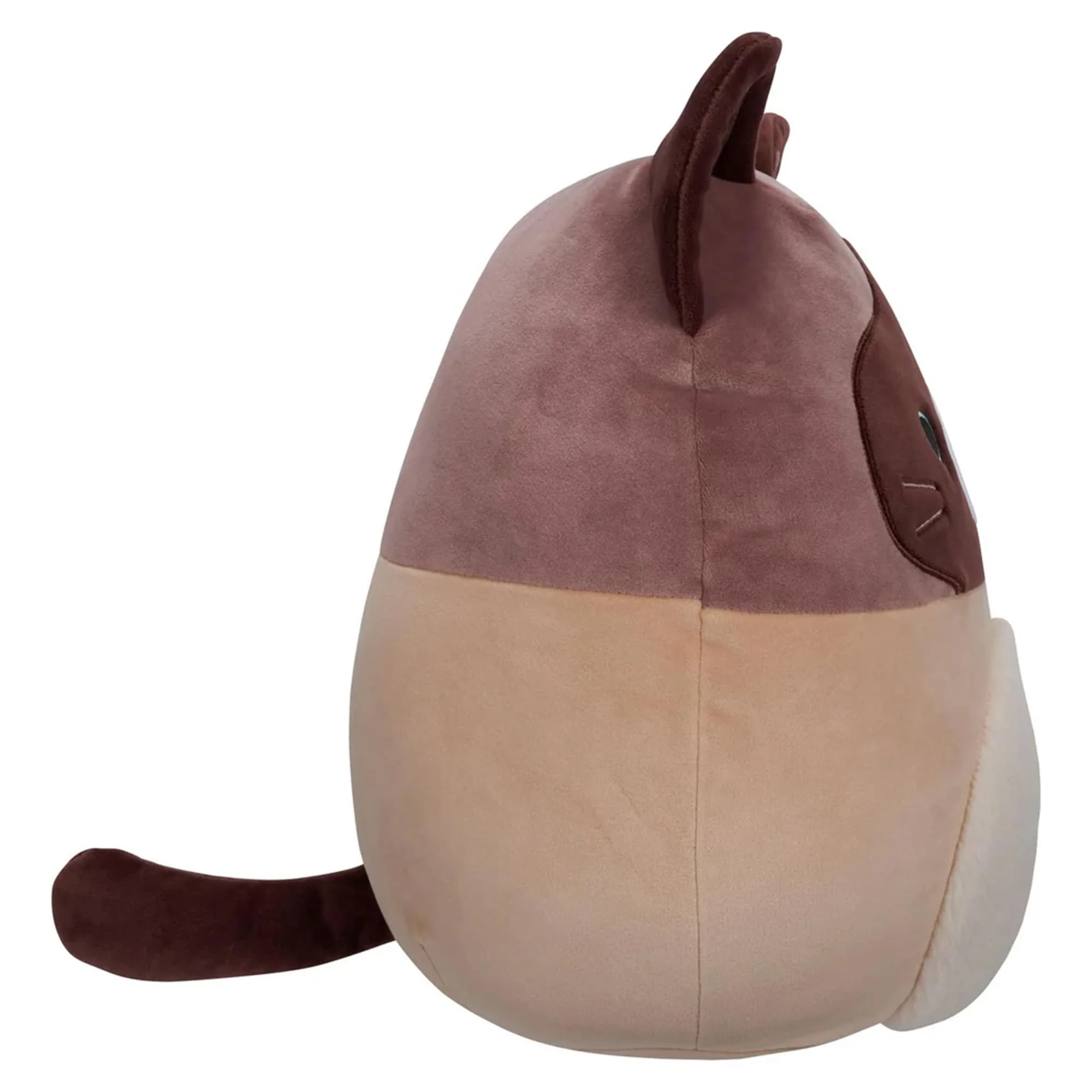 Squishmallow 12 Inch Plush | Woodward the Brown and Tan Snowshoe Cat - Image 4