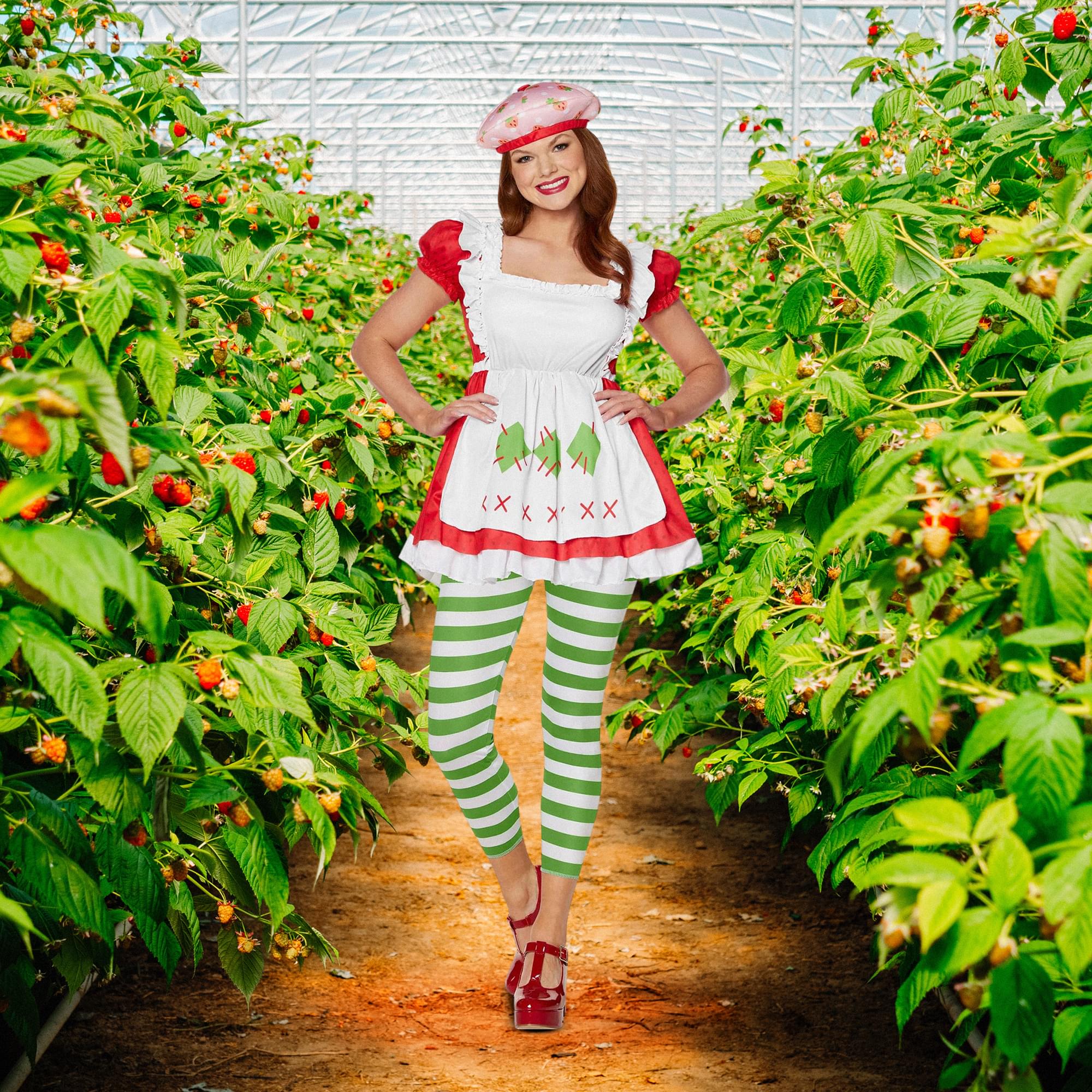 Strawberry Shortcake Adult Costume - Image 14