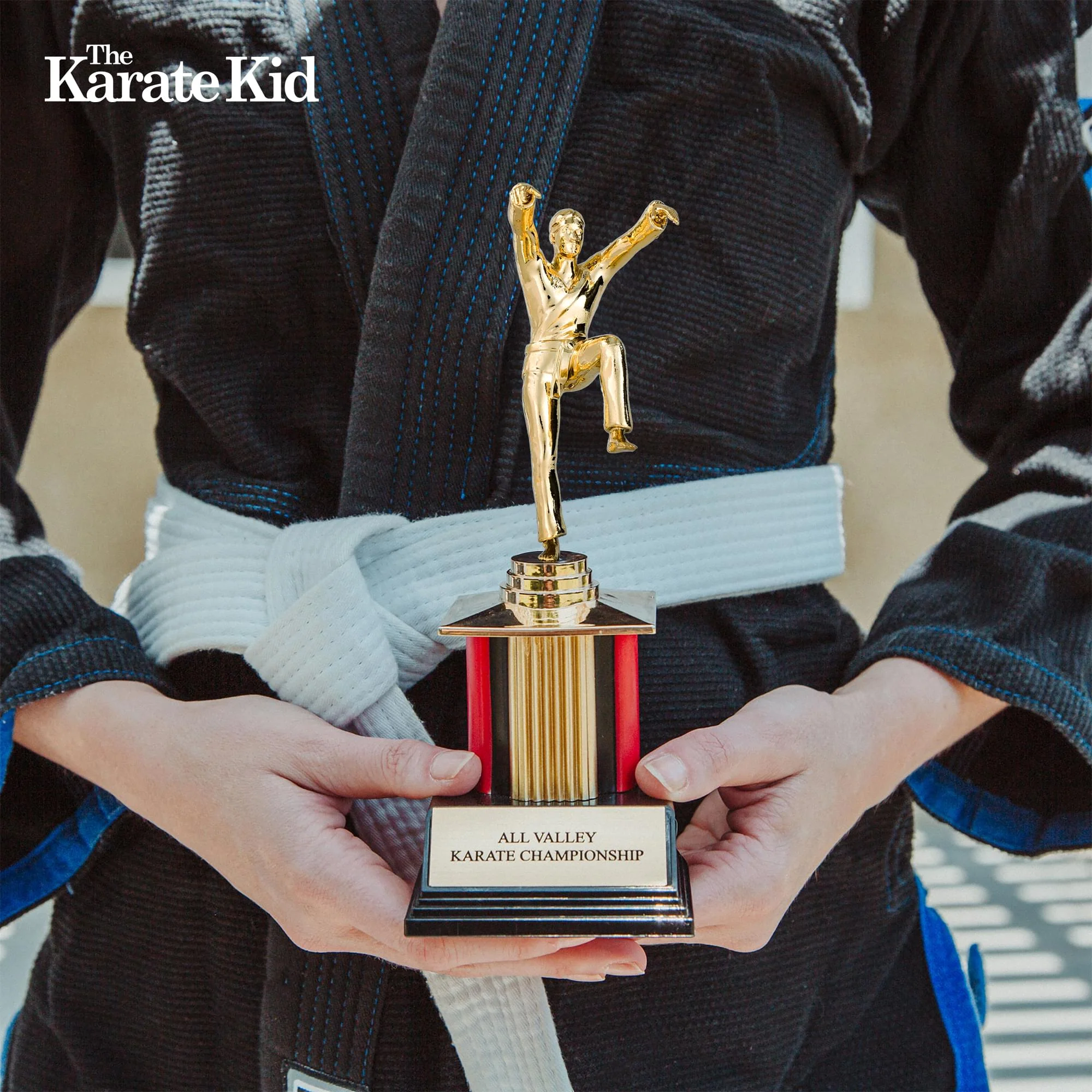 The Karate Kid 8-Inch All Valley Karate Championship Trophy Replica - Image 6