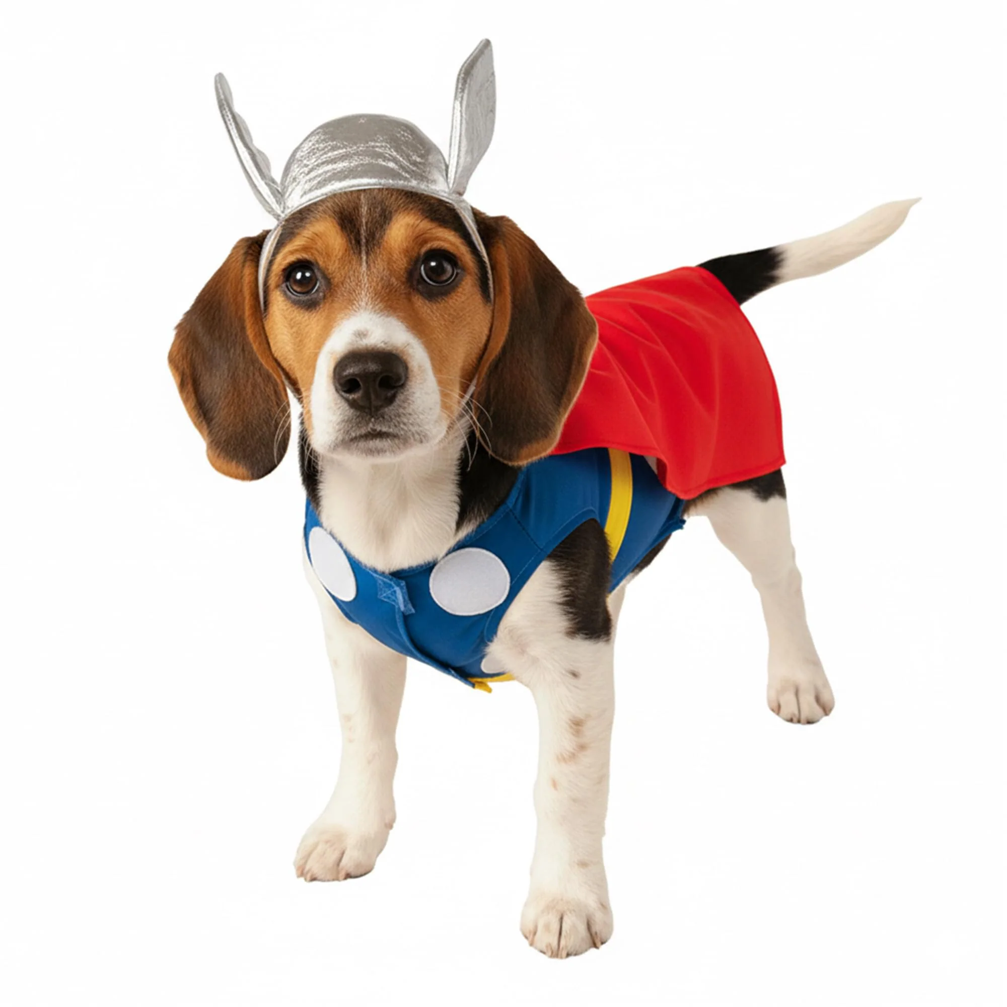 Thor Back, Chest Pet Costume - Image 2